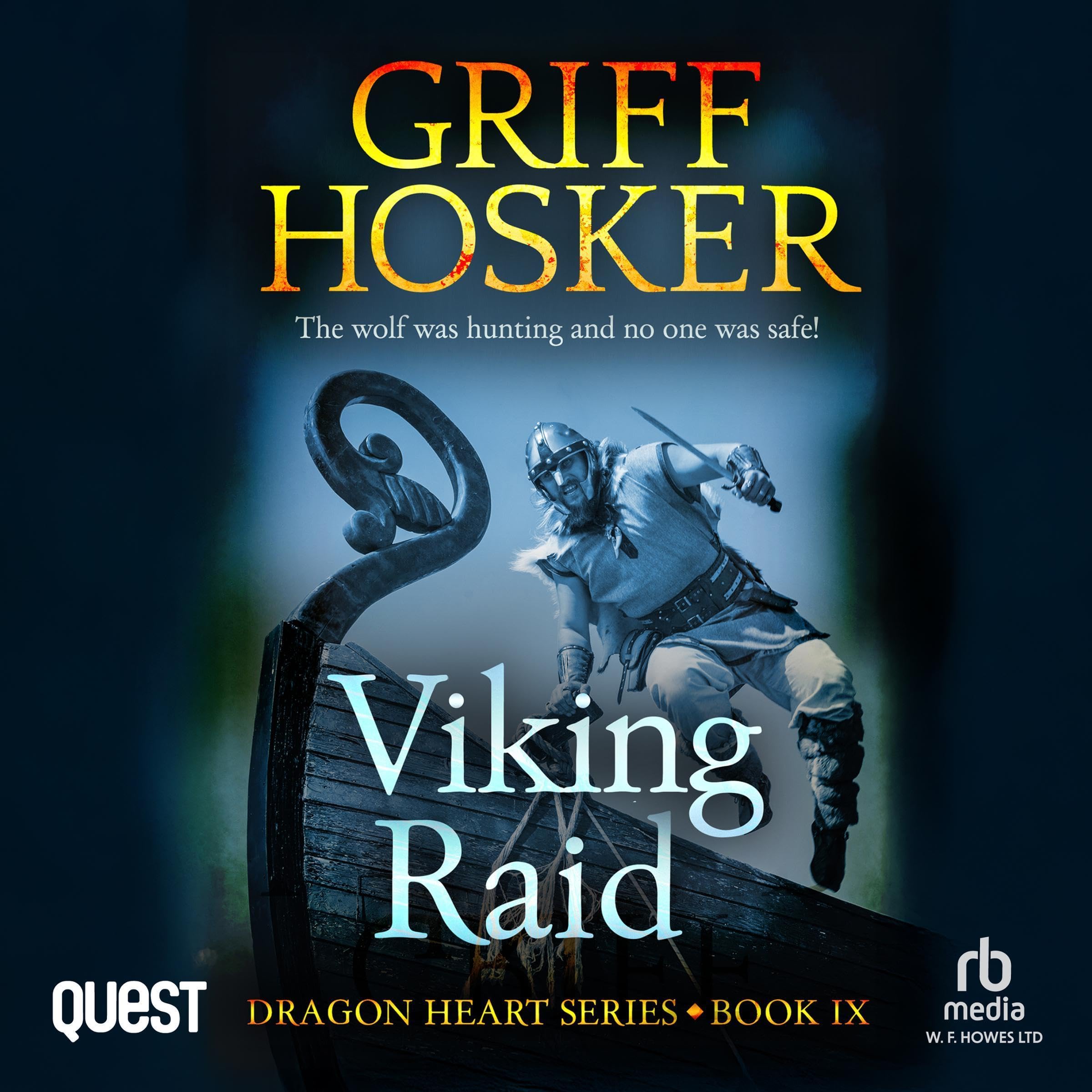Cover art for Viking Raid