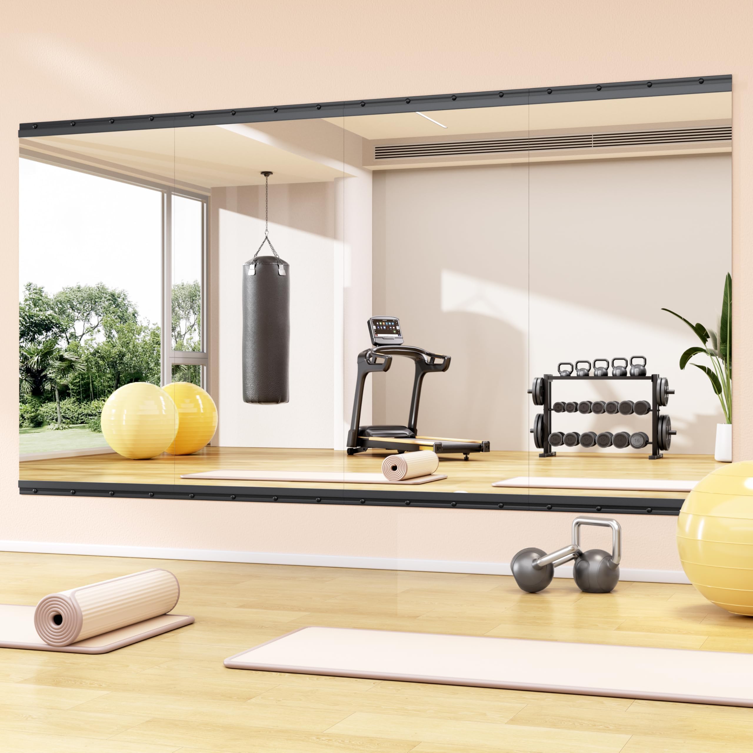 Hasipu 4-Piece Gym Mirror