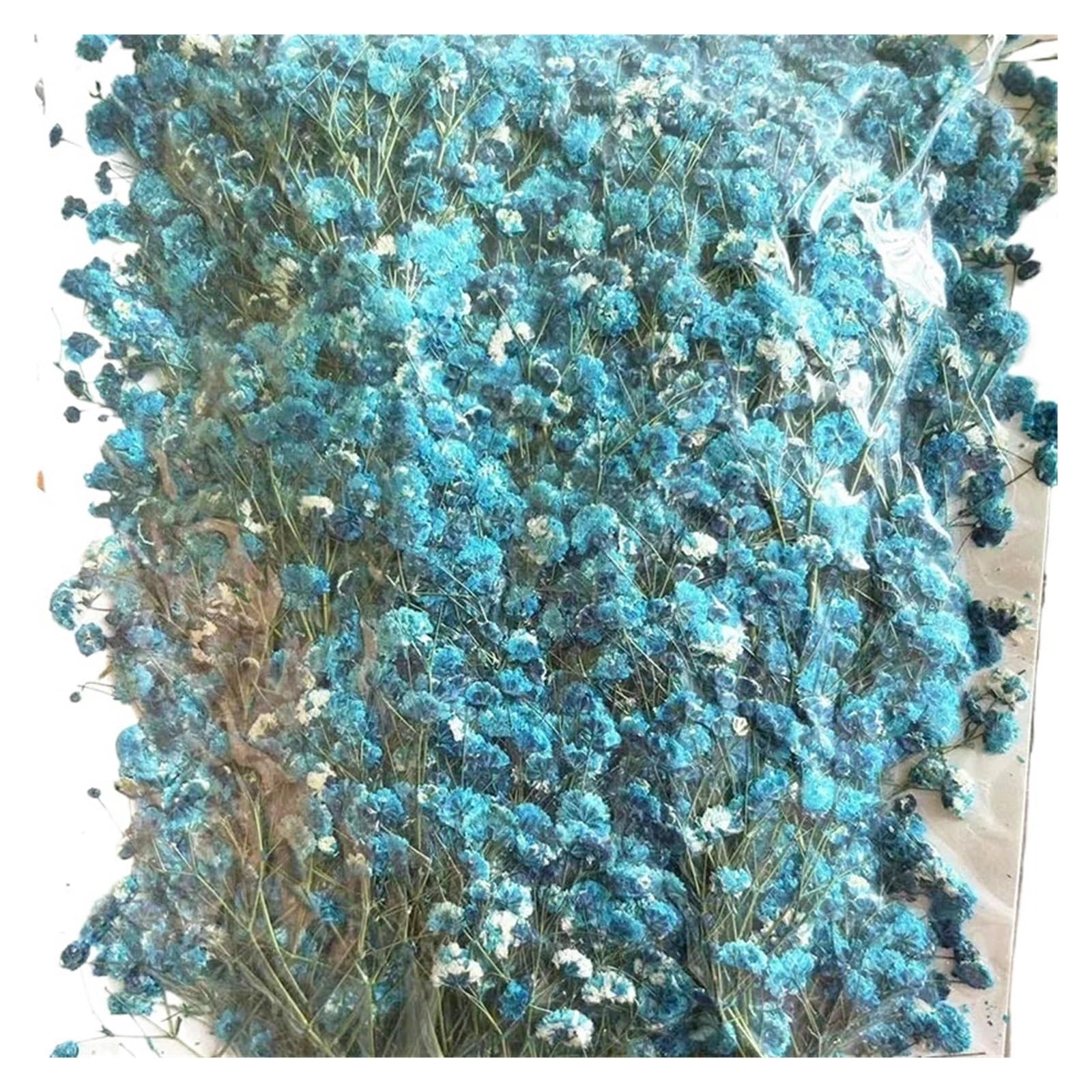 WJIAYAO dried gypsophila flowers 100 Pieces of Baby's Breath Plant Specimens DIY Handmade Bookmark Pressed Flower Material Kit Dried(Color6)