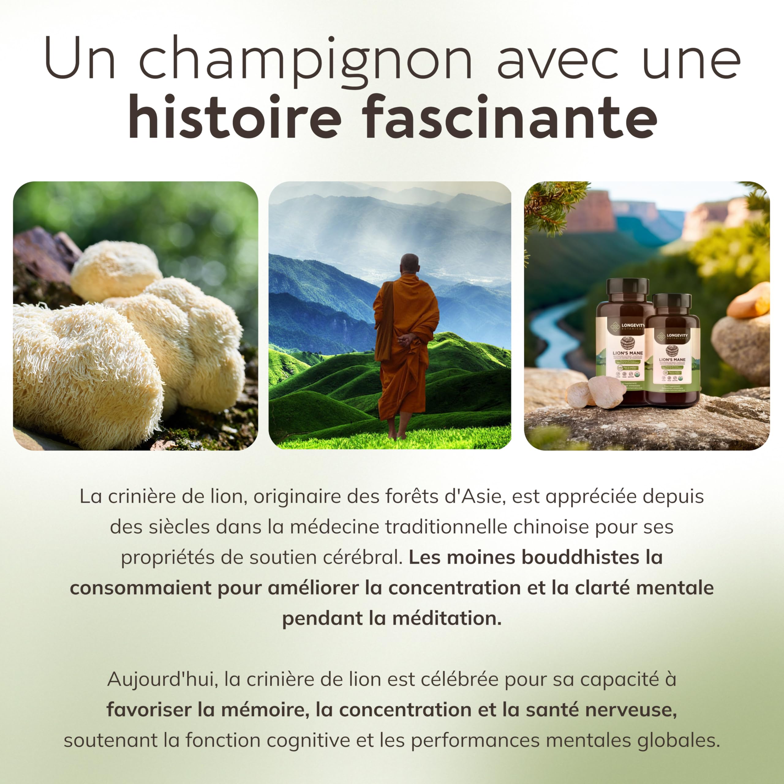 Gélules Crinière de Lion (Lion’s Mane) x120 | Extrait Puissant 8:1 de Champignon Corps Fructifère Pur | 20% Bêta-D Glucanes | Équivalent Brut 7200mg par Portion | Soutien Mémoire Intestin & Cerveau
