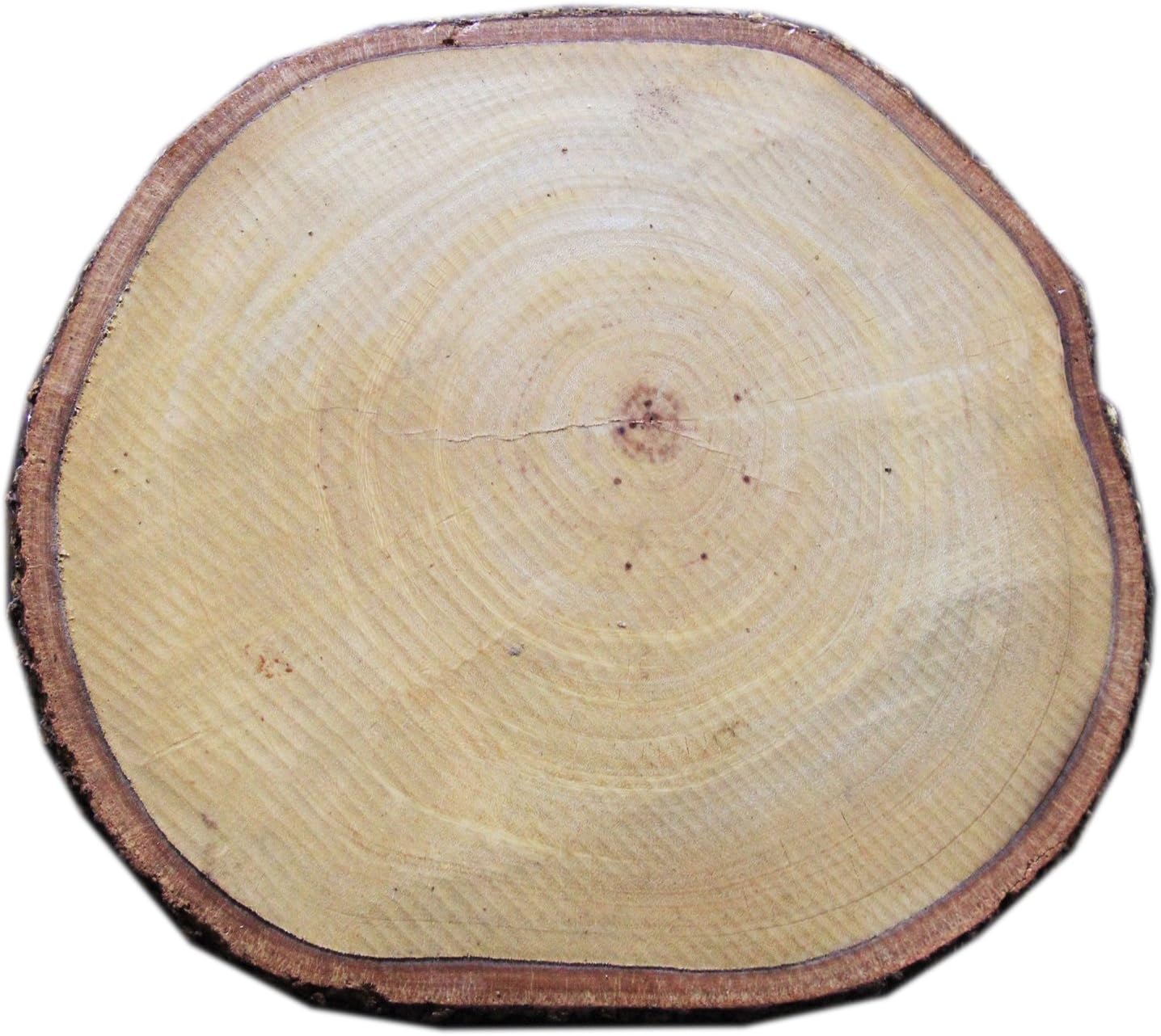 Tamarind Thai Size 8" - 9" Wood Slices For Centerpieces Tree Trunk Slice Natural Thickness 1"