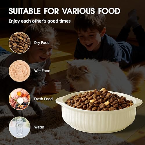 Miniatura 7 de Tazón de comida para gatos con asa, juego de alimentador de comida y agua de cerámica para gatos de 6 pulgadas, diseño moderno de textura vertical,