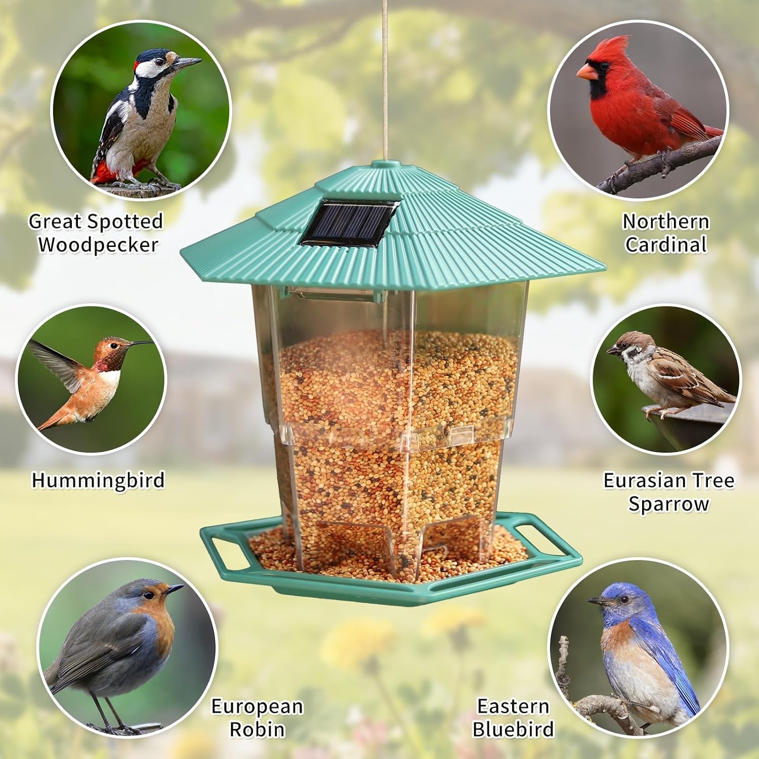 Solar Bird Feeder for Outdoors Hanging,Hanging Wild Bird Feeders with S Hook for Blue Bird, Cardinals, Finches,Wild Birds Seed Feeder, As Gift for Bird Lovers（Green） image 2