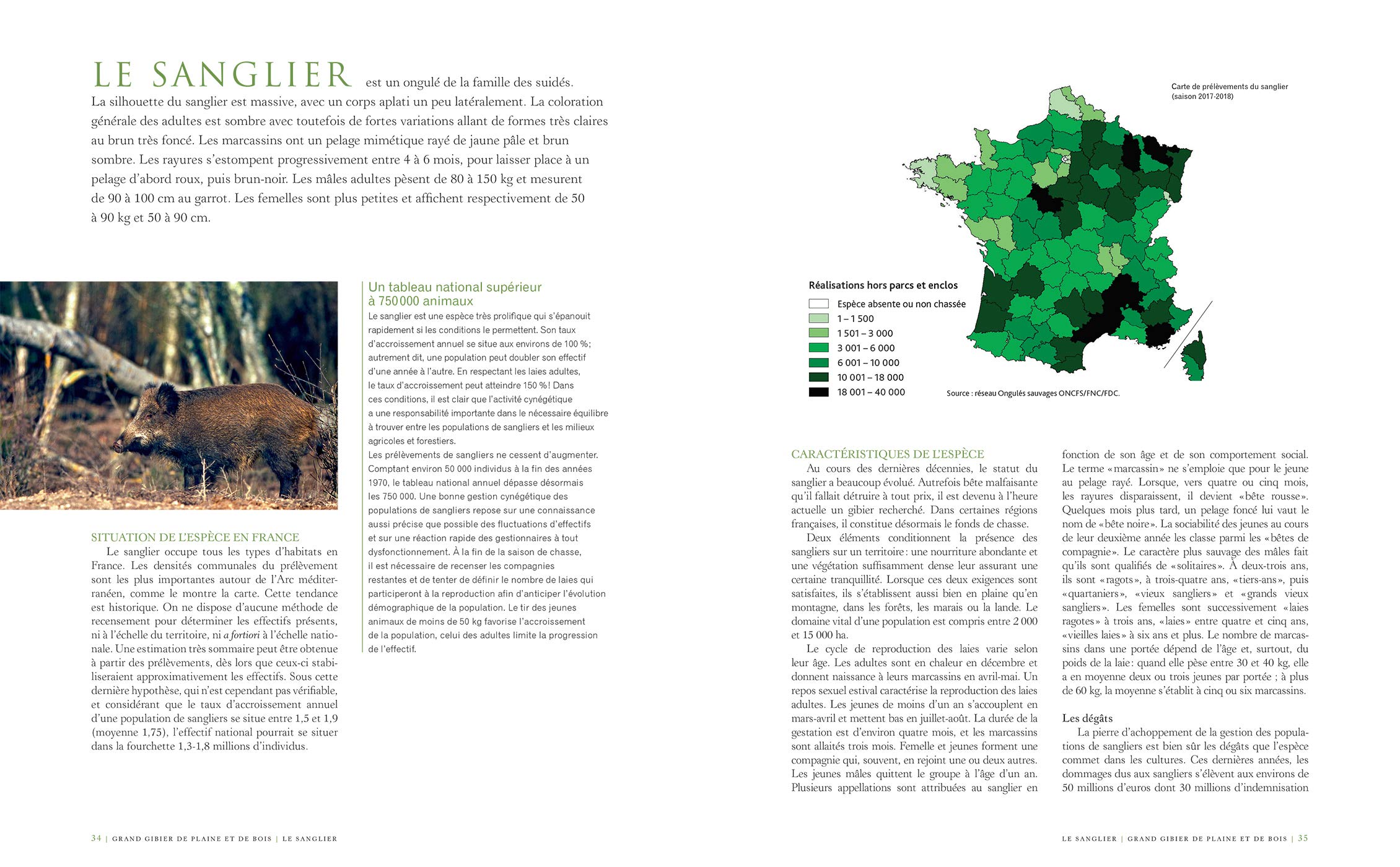 Le grand livre de la chasse: Nouvelle édition