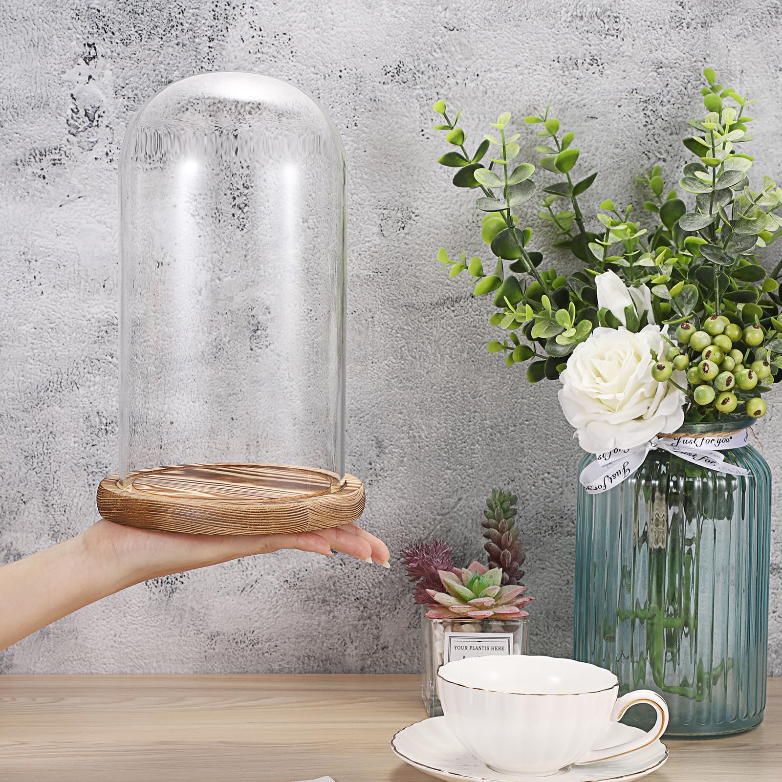 Lot de 2 dômes en verre socle bois naturel - Cloche décorative robuste - Pour lampes, bougies, roses, décorations Noël, anniversaires, Saint-Valentin