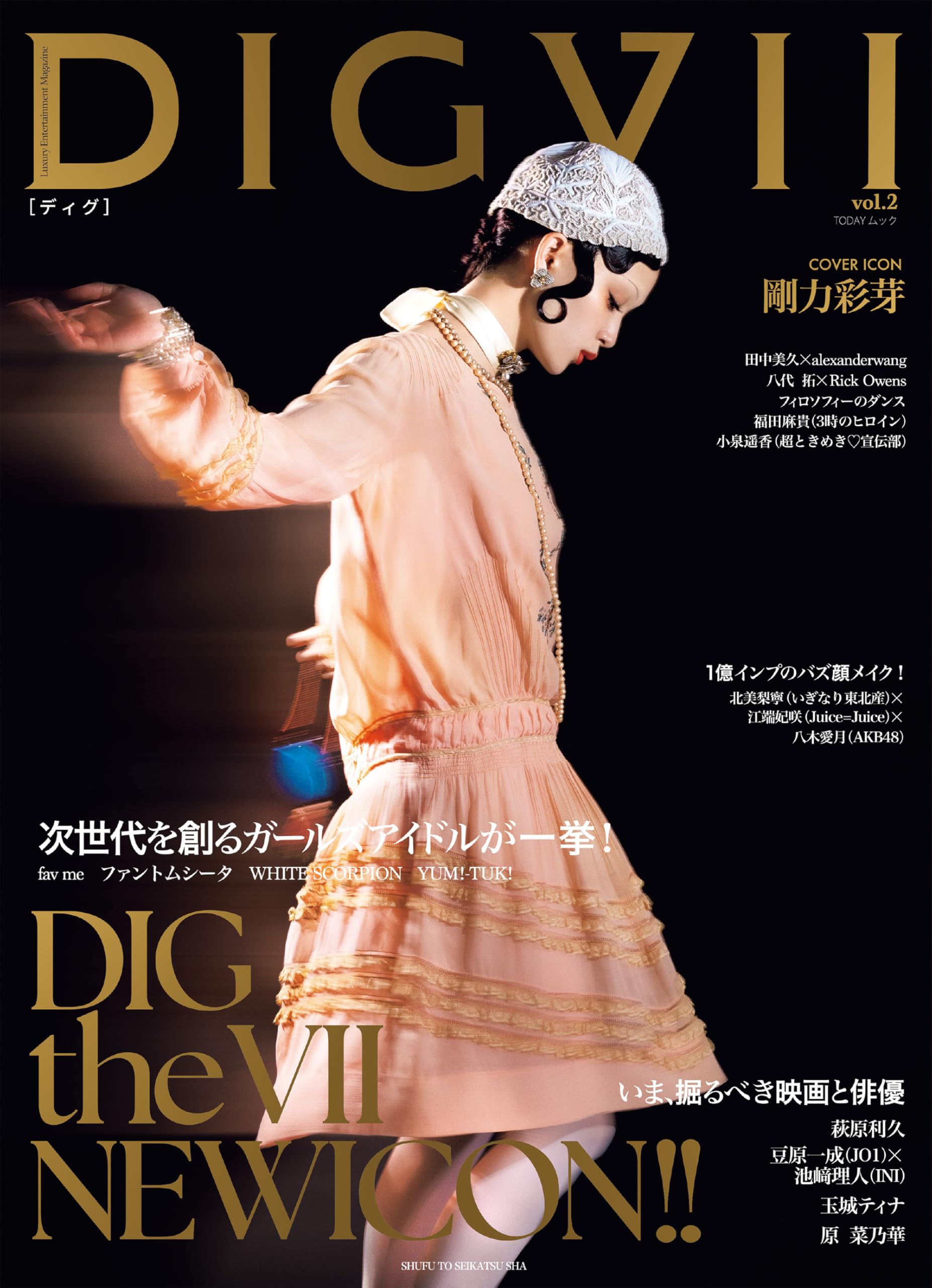 DIGVII vol.2 (TODAYムック)