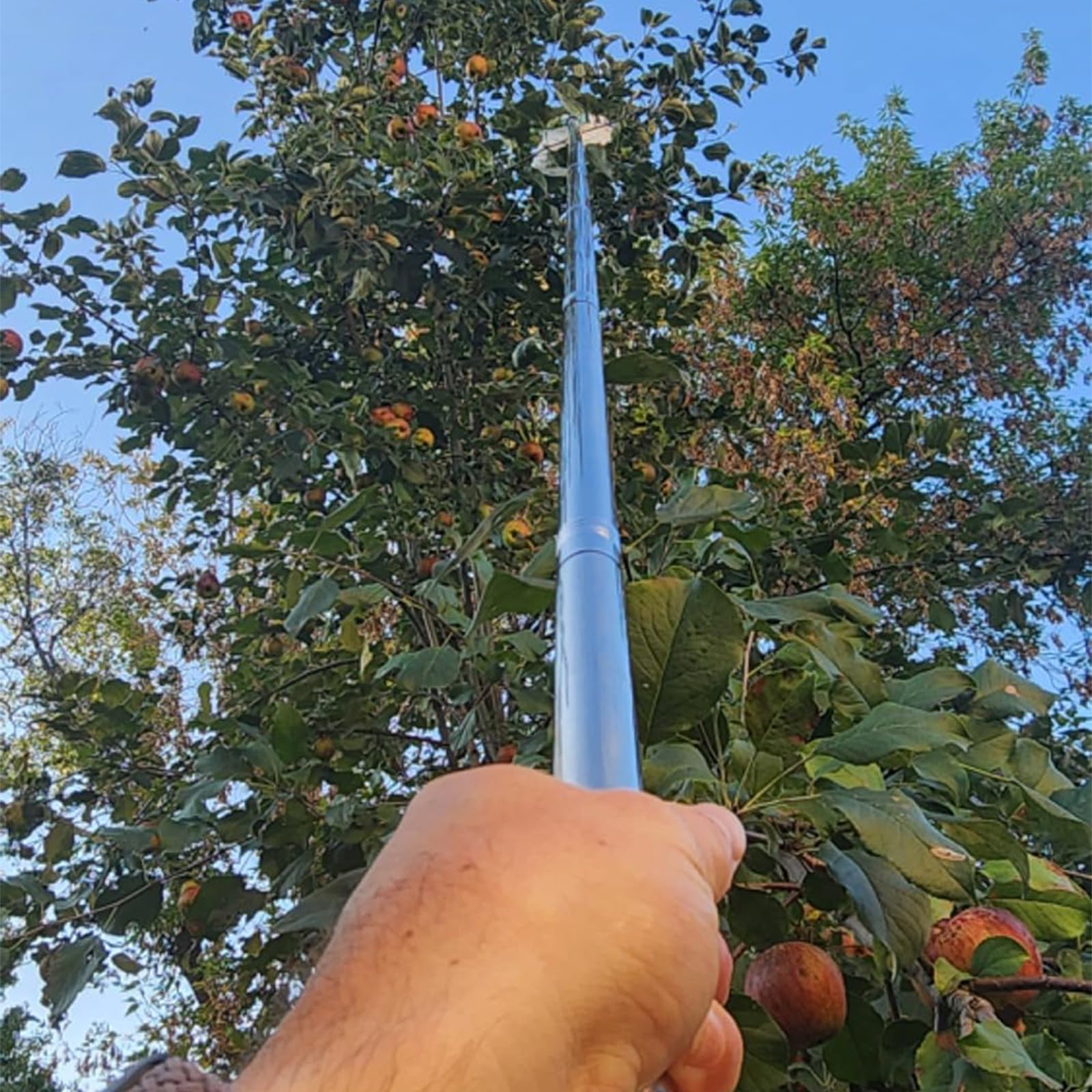 Herramienta de recolección de frutas comercial, mango ajustable de acero inoxidable y cabeza de metal para recoger árboles Farmpark, recogedor de frutas con cesta extraíble