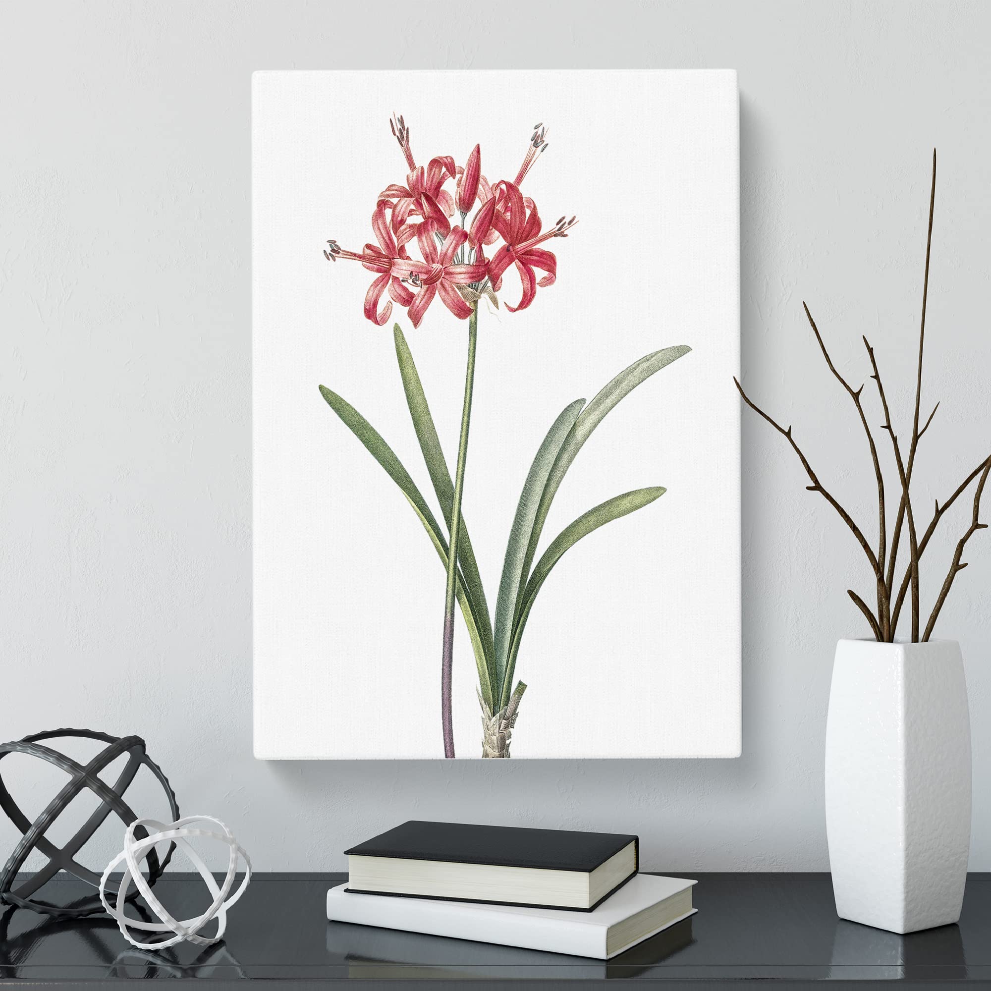 Guernsey Lily By Pierre Joseph Redoute Canvas Print, Mixed, 25L x 50W cm - Image 3