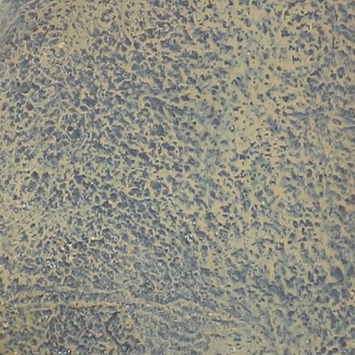 Miniatura 3 de Sunnydaze French Lily - Fuente de agua de pared Polystone de 33 pulgadas para exteriores, bomba sumergible eléctrica, acabado de piedra florentina