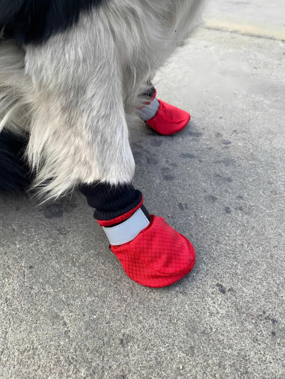 Winter Paw Protector Dog Boots for Large Dogs, Waterproof Dog Booties, Dog Shoes Soft Sole and Nonslip Set of 4 Color Red Size Large