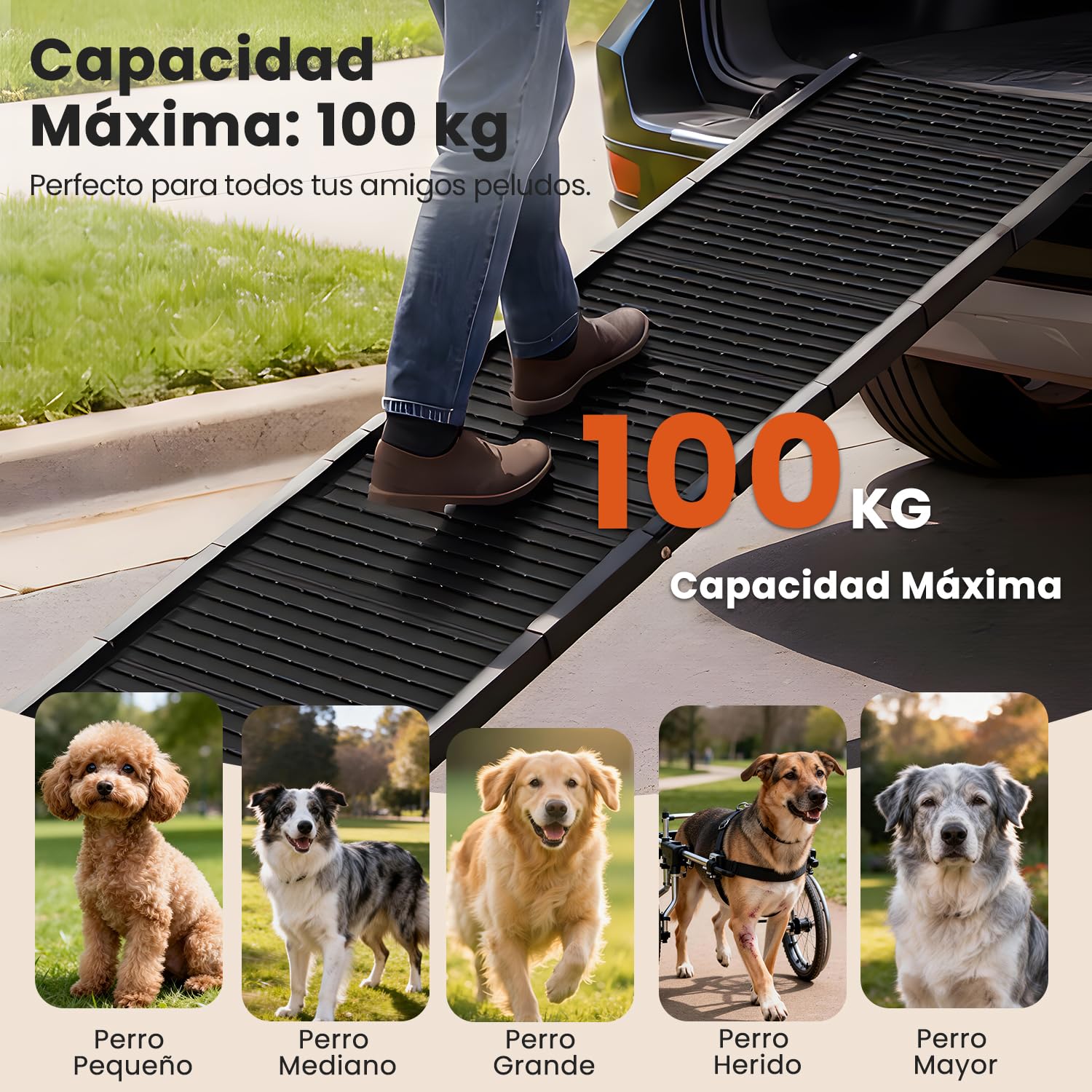 Rampas para perros para coches, 170 cm x 41 cm, rampa plegable extra larga para perros con superficie antideslizante, de servicio pesado, capacidad de 100kg, rampa portátil para mascotas, para SUV