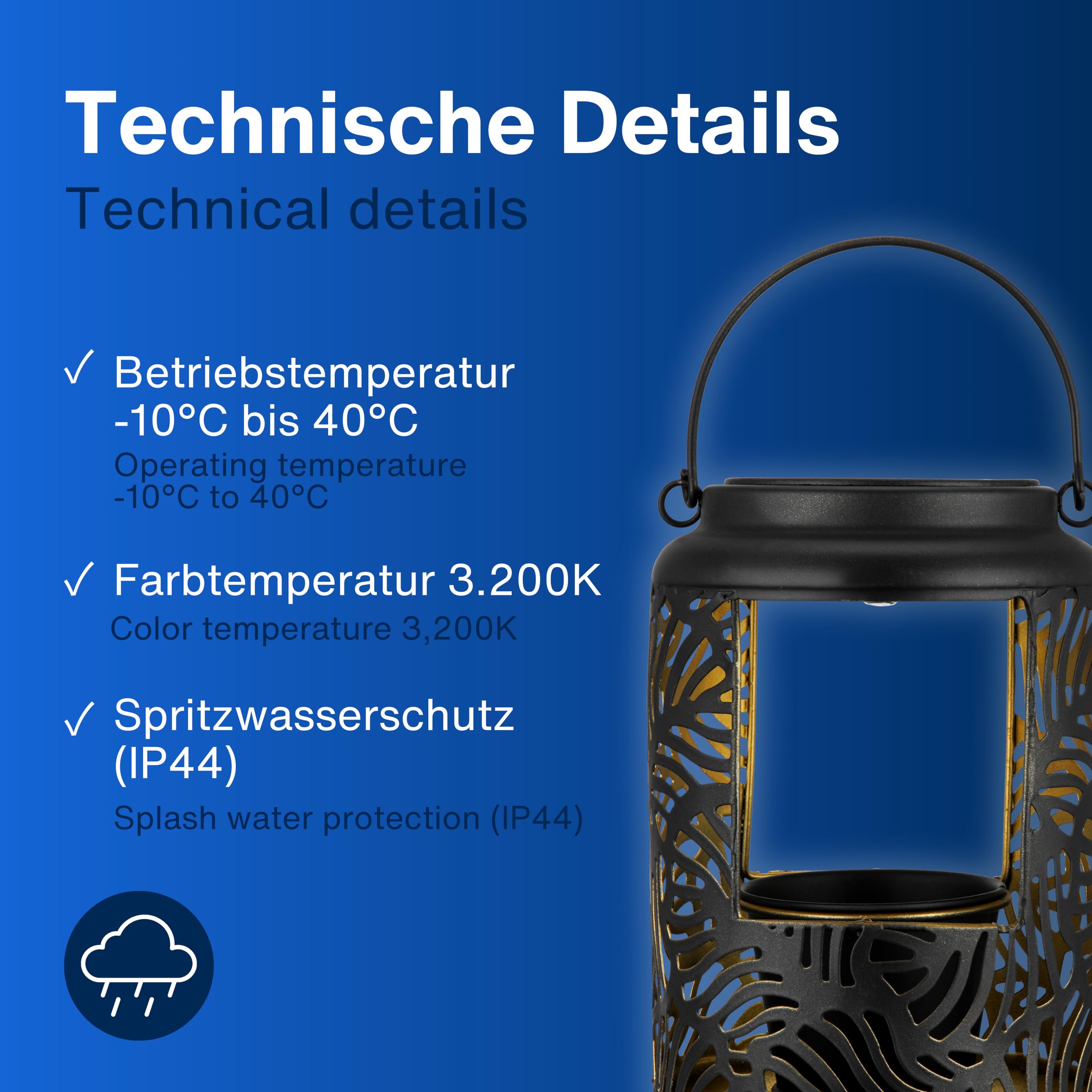 View 6