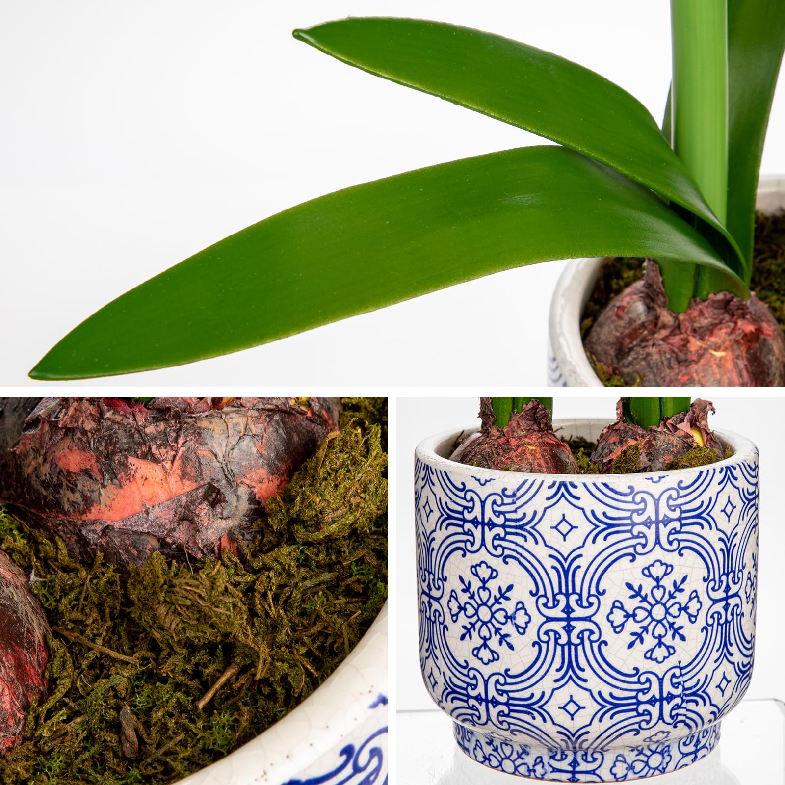 Amazon.de: Arborus knstliche Blume Knstliche Amaryllis im Topf 46 cm  Dekoblumen Unechte Blumen im Topf aus Keramik Weie Blumen in Vase fr  Modern Vintage Boho Deko auf Tisch Regal Balkon Fensterbank