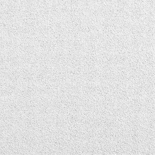 Miniatura 3 de Azulejo de techo, 24" W,24" L, 3/4" de grosor, PK12