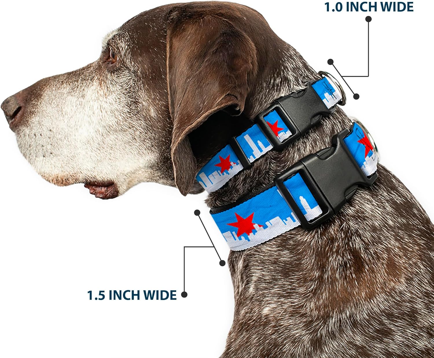 Buckle-Down Plastic Clip Collar - Chicago Skyline/Flag Distressed Black/White/Red - 1.5" Wide - Fits 13-18" Neck - Small
