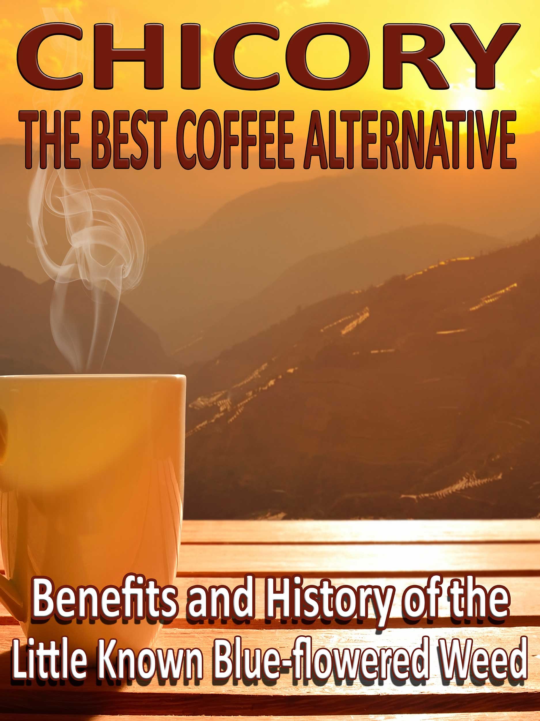 Buy Chicory The Best Coffee Alternative Uses, Benefits and History of