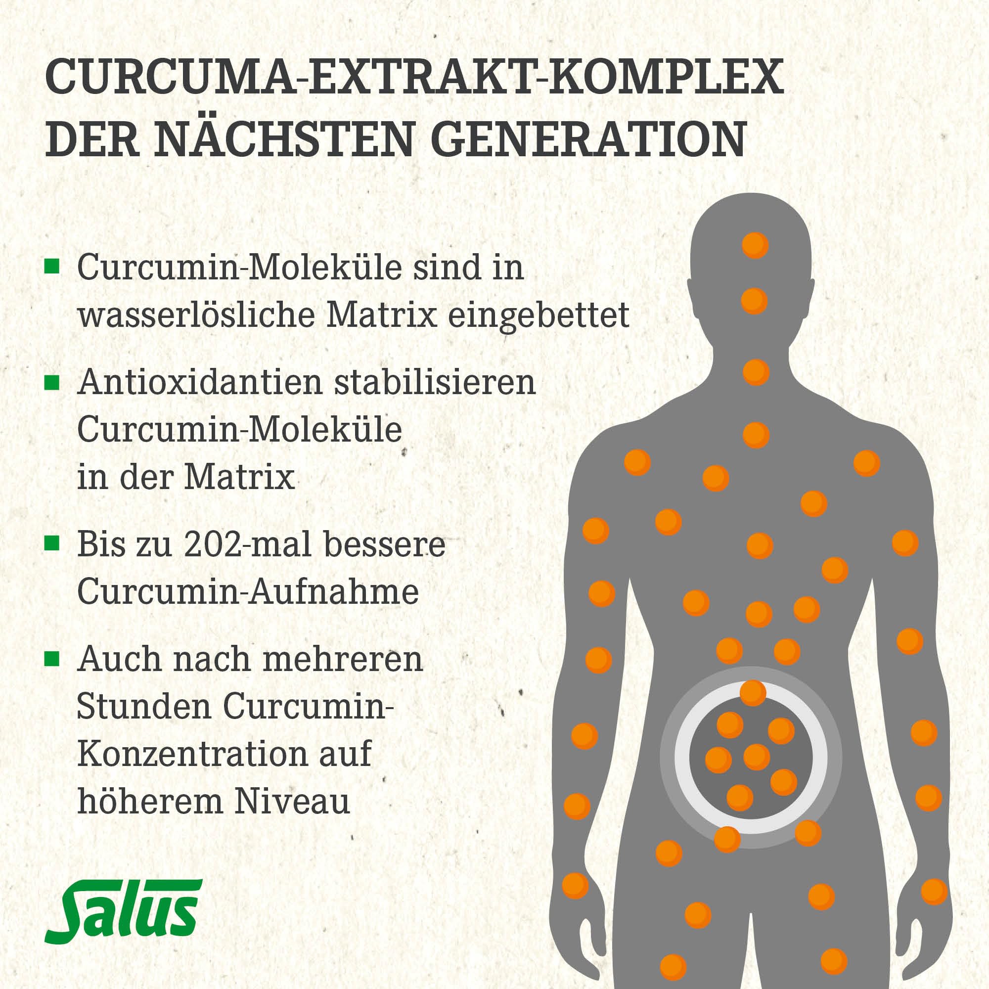 Salus Curcumin 202 Bioaktiv Tonikum – herausragende Bioverfügbarkeit: bis zu 202x bessere Curcumin-Aufnahme – ohne synthetische Polysorbate oder Piperin – mit Vitamin D3 – 250 ml