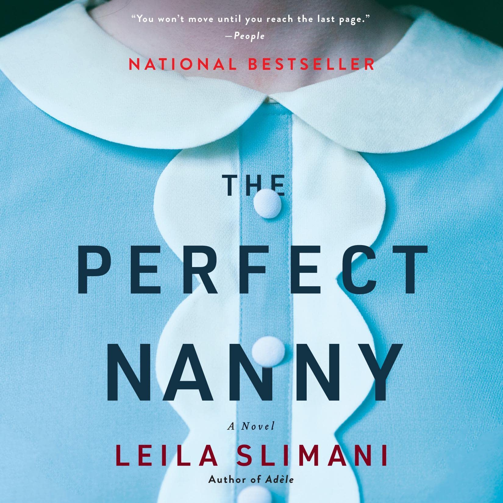 Cover art for The Perfect Nanny