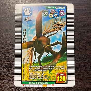 812lOKIwq2L._AC_UF350,