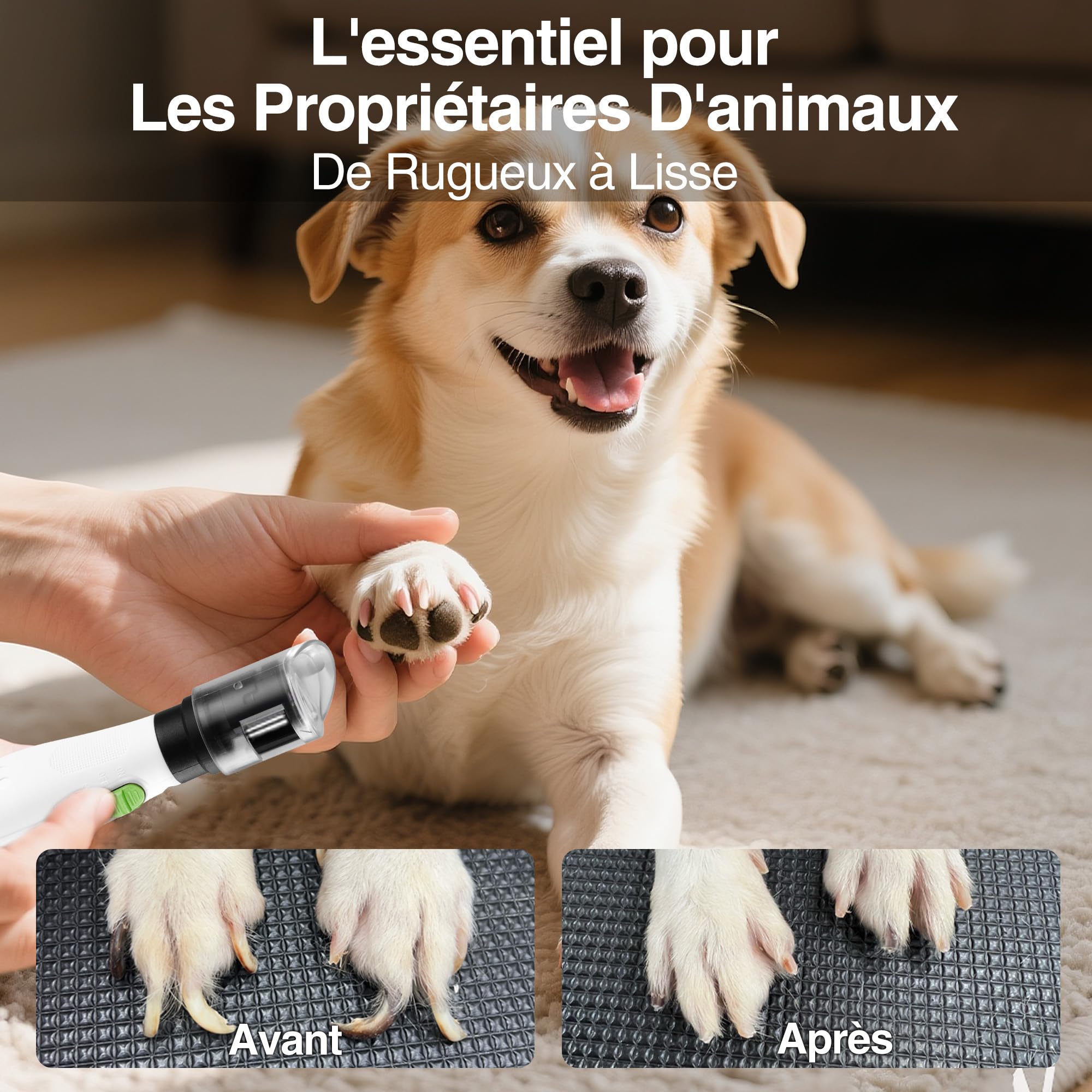 WORKPRO Lime à Ongles Chien Électrique | Lime Griffe pour Chiens et Chats avec 6 Vitesses, 3 Options de Slot, 70 Accessoires, Rechargeable Type-C et Sac de Rangement
