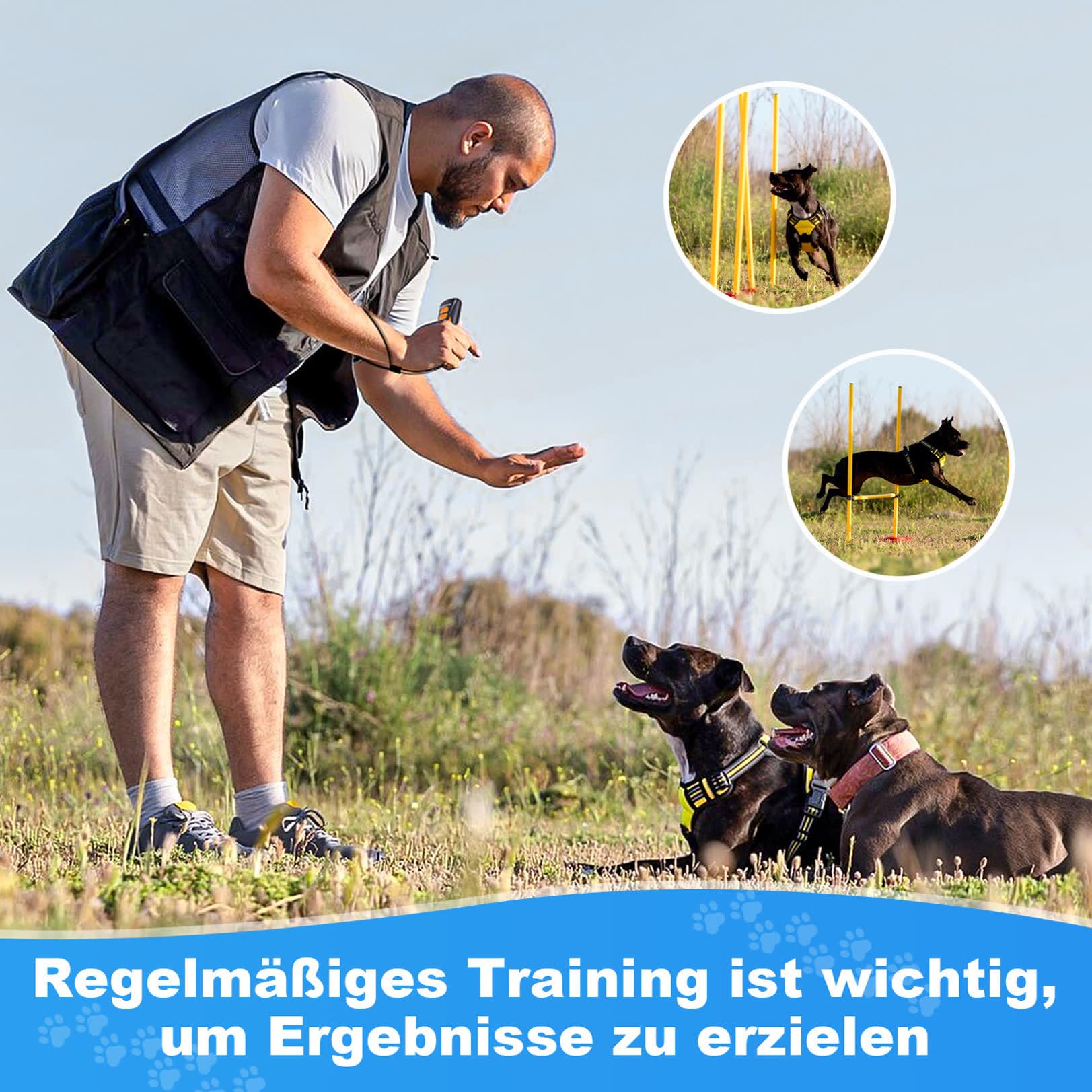 Dispositivo antiladridos para Perros, Dispositivo disuasorio ultrasónico antiladridos para Perros, 26072201 from de Black | Entrenamiento humano para perros sin choque,Dos modos ultrasónicos,Hasta 15 m de alcance,USB-C recargable,Compacto y portátil