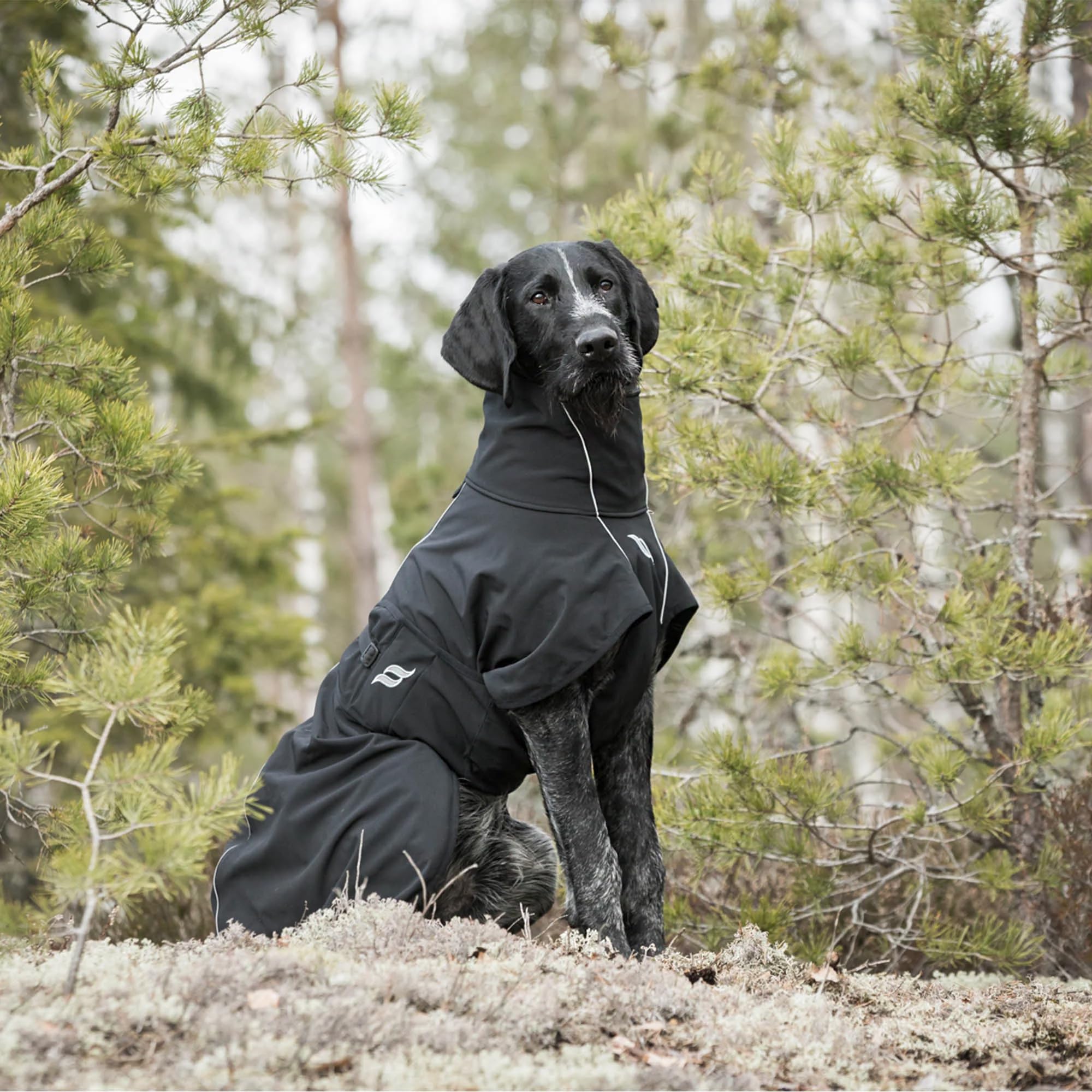 Back on Track Hundemantel Nella Allround schwarz (80 cm)