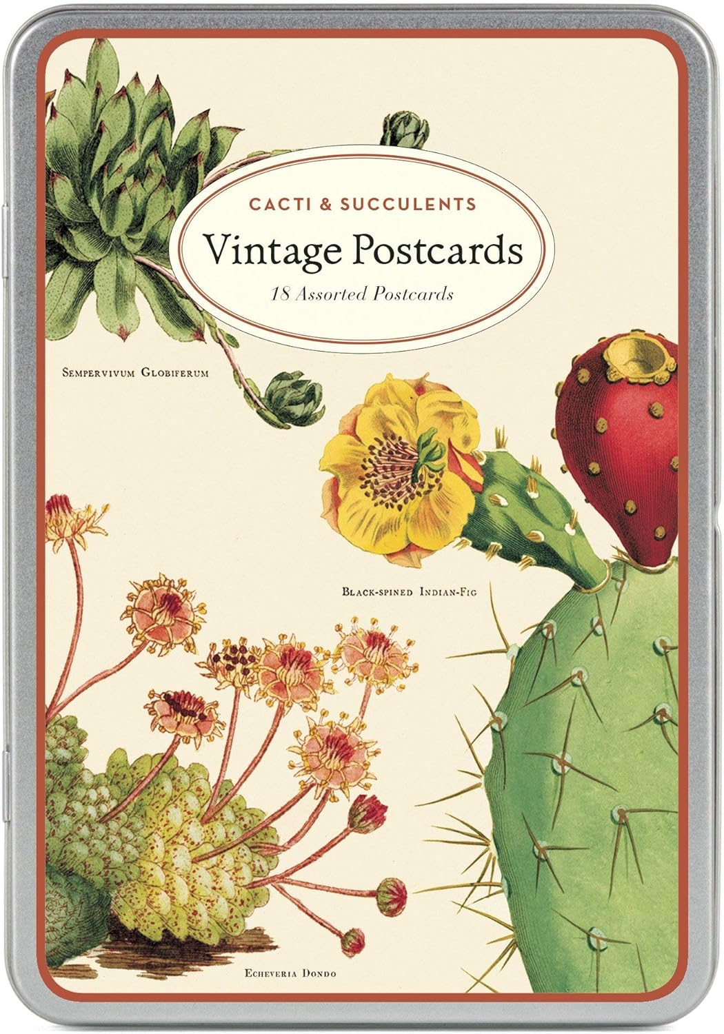 Cavallini & Co. Cacti & Succulents Vintage Postcard Set