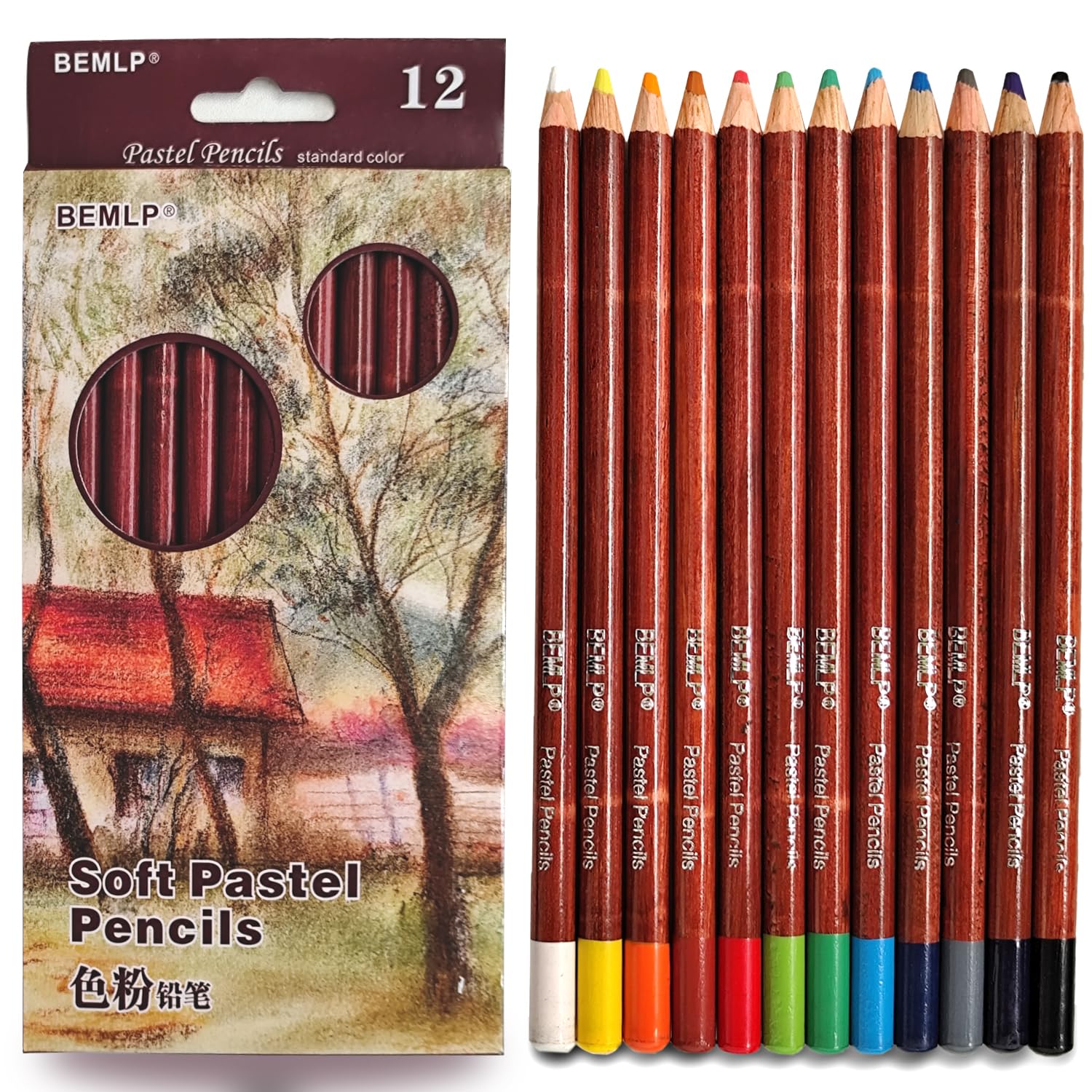 Amazon.com : BEMLP 12 Non-toxic Professional Soft Pastel Pencils