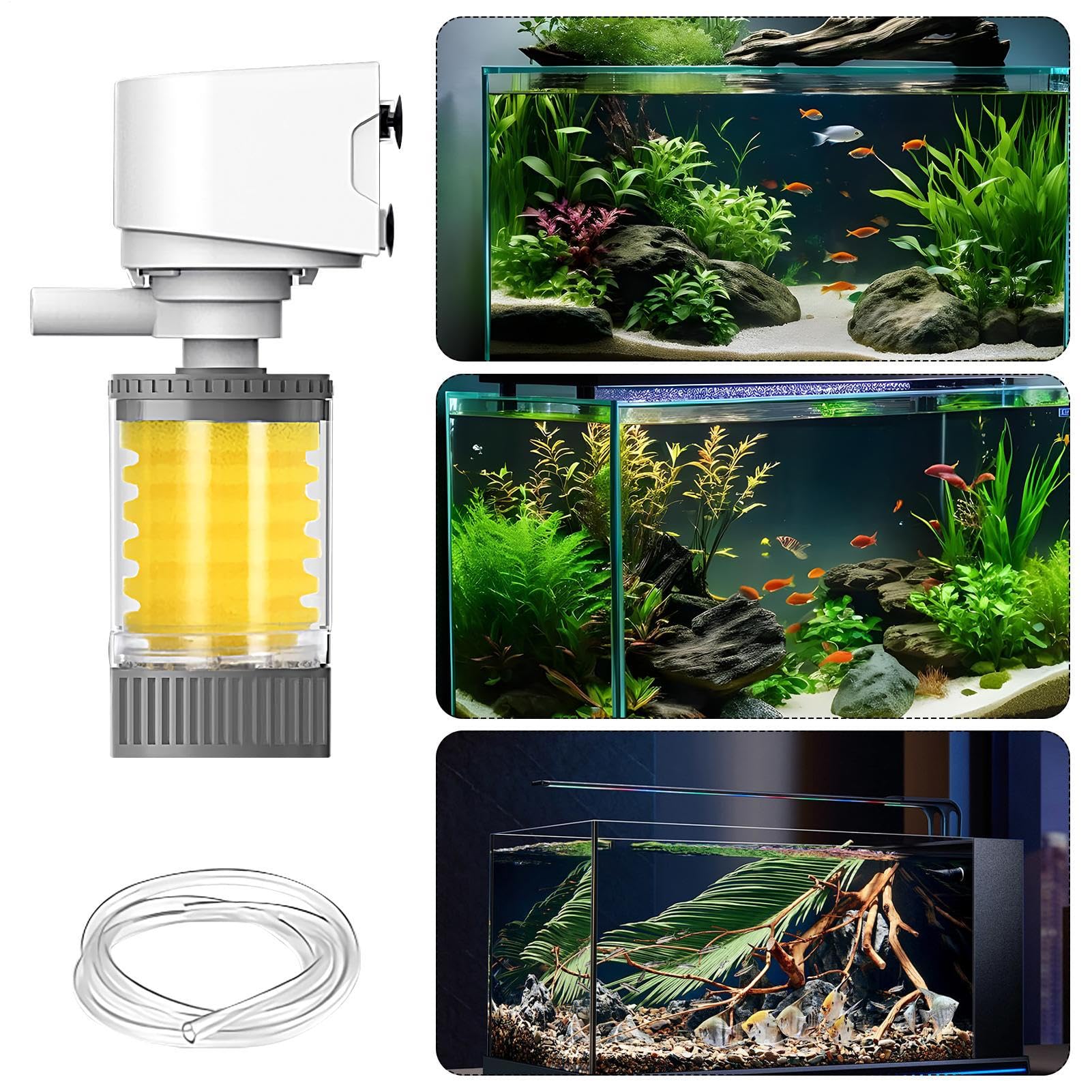View 4