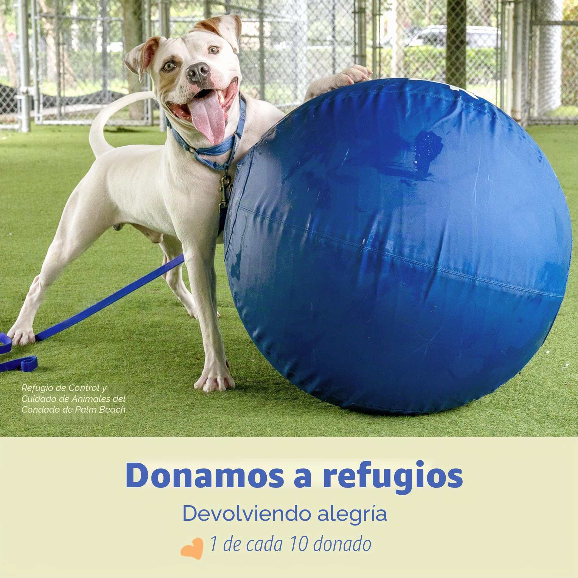 Race&Herd Pelota de pastoreo para Perros, Talones Azules, Bola de Caballo y Cubierta de Pelota, Bola para Caballos Grande con Bomba de Mano, Bolas de Caballo para Jugar Pelota de daño