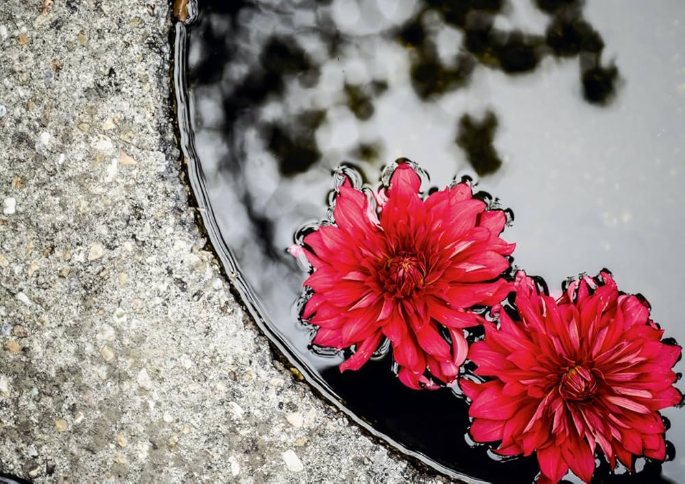 ■美品■拈華録 静と動