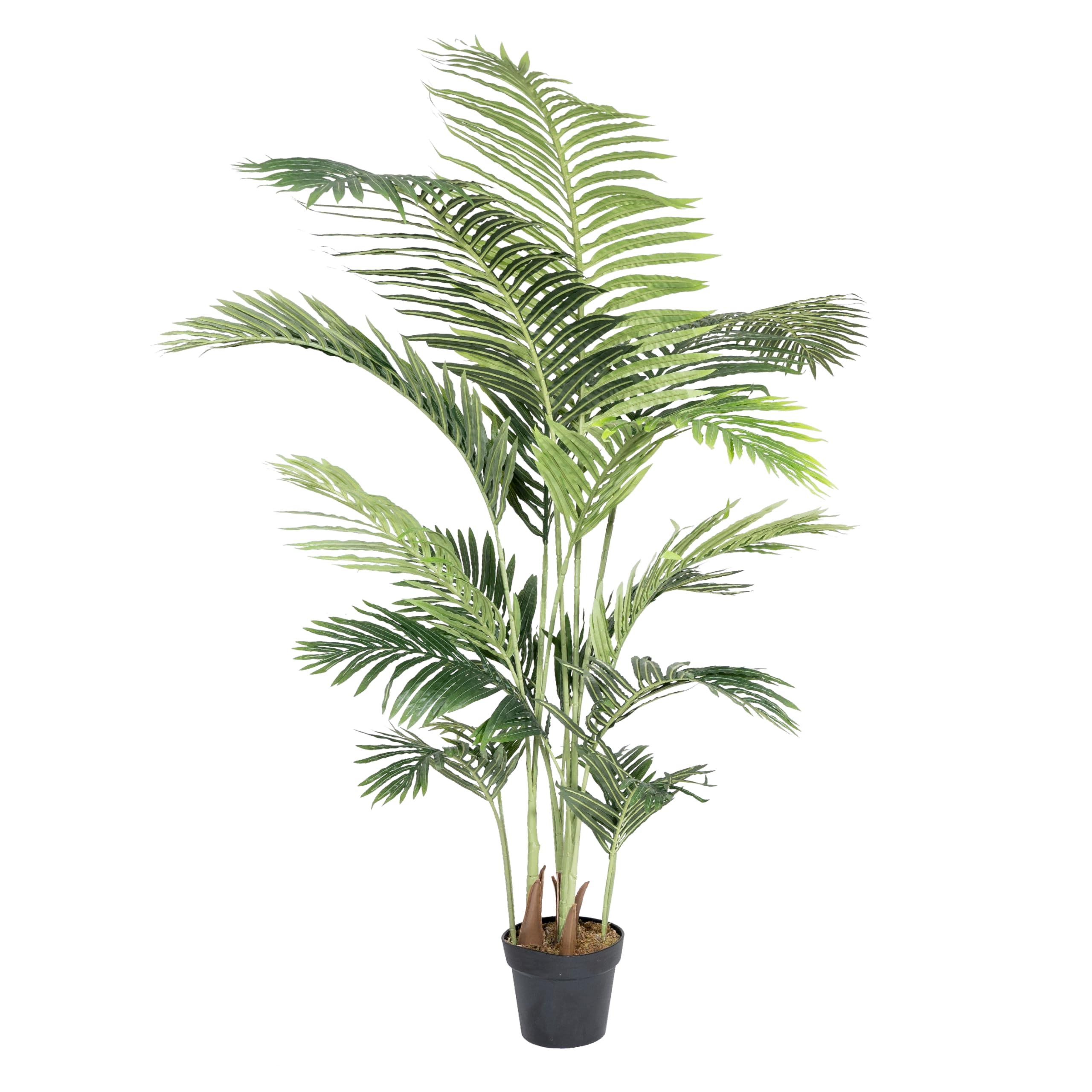 Blooming Artificial - Artificial Palm Tree, Realistic Fake Paradise Palm Plant Indoor for the Home and Office, Year Round Decorative Plastic Foliage (Green) (170cm)