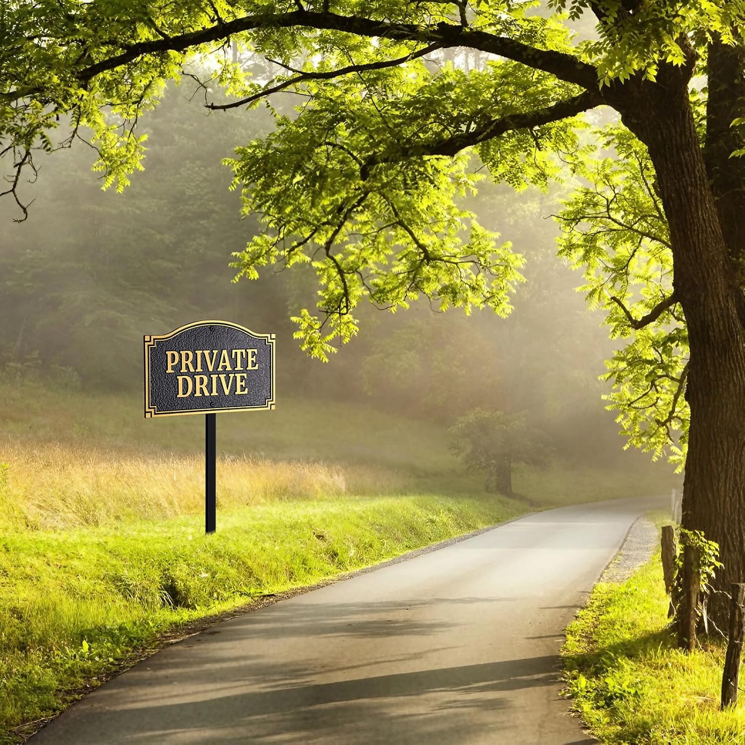 Private Drive Statement Plaque, Solid Metal Cast,Private Road/Driveway Sign, Heavy-duty Material, Golden Embossed Letters,11.5"×7.5" with 31.5" Stakes