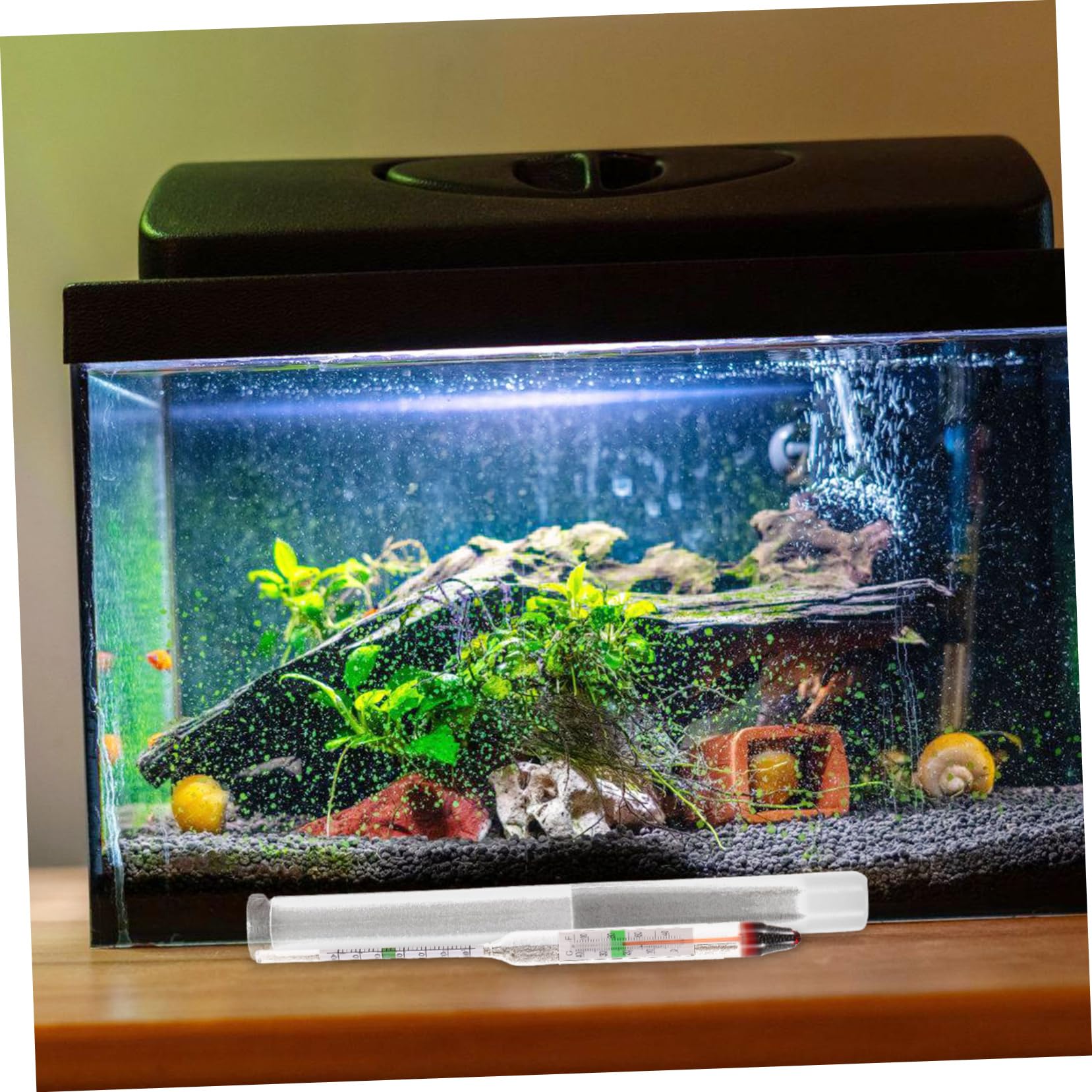 Supvox 10 Sätze Salzgehaltmesser für Meerwasser Aqua Hydrometer Tank Dichte Messgerät Meersalz groß Meerwasserqualitätstester Aräometer aus Glas Werkzeug zum Testen von Meerwasser Plastik