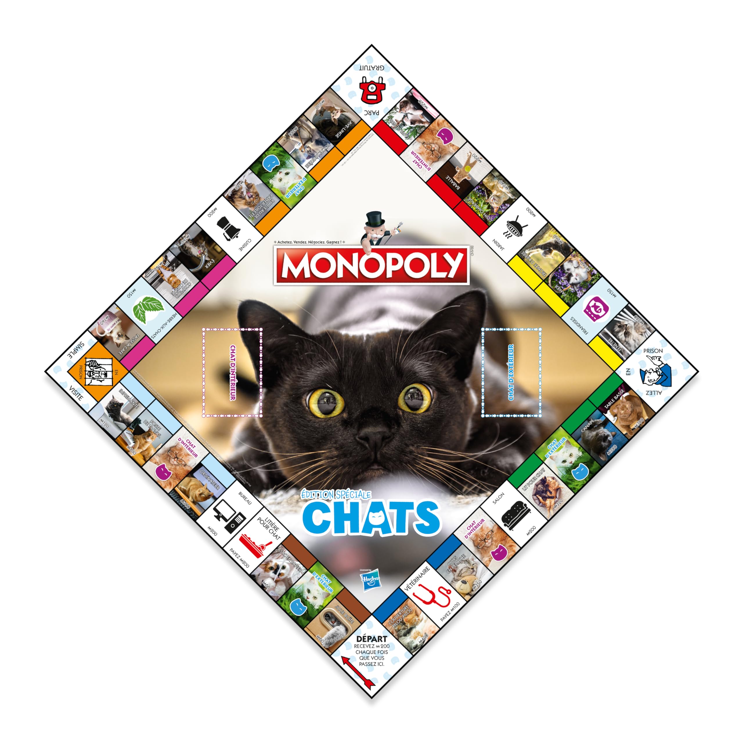 Winning Moves Monopoly Gatti francesi - Gioco da tavolo 8+ - Gioco da tavolo per 2-6 giocatori, giochi da tavolo per famiglie in francese