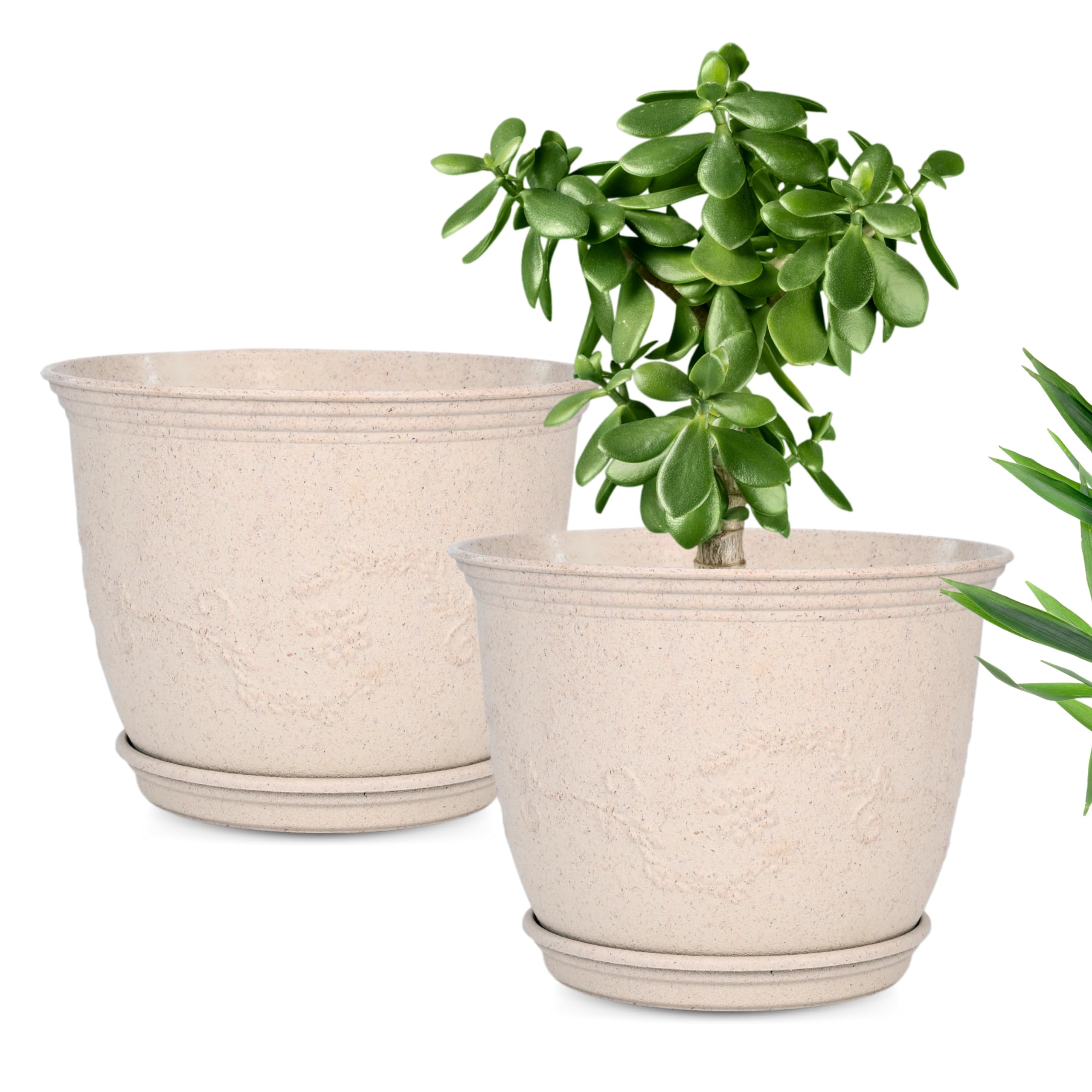 Eha Set of 2 Earth-Friendly 12" Leafy Planters with Tray | Bamboo Fiber | UV Protected | Drainage Hole | Pots for Indoor, Outdoor, Balcony & Garden | Sand Castle (B0D5YGWQWL) Amazon Price History, Amazon Price Tracker