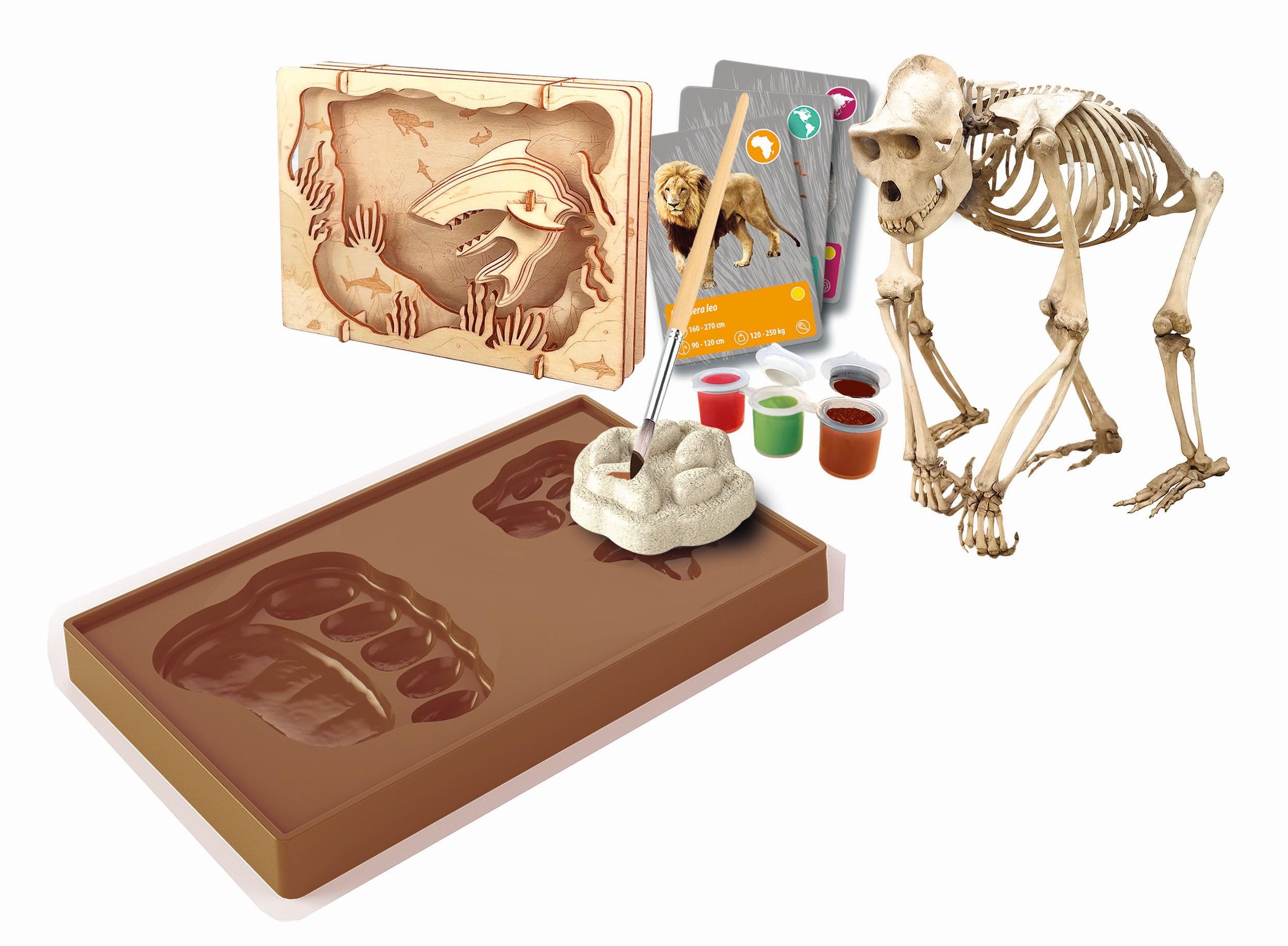 Galileo Lab Entdeckungs-Set „Tiere auf unserer Erde - Experimentierkasten & Spielzeug für Kinder ab 8 Jahren von Clementoni 59400
