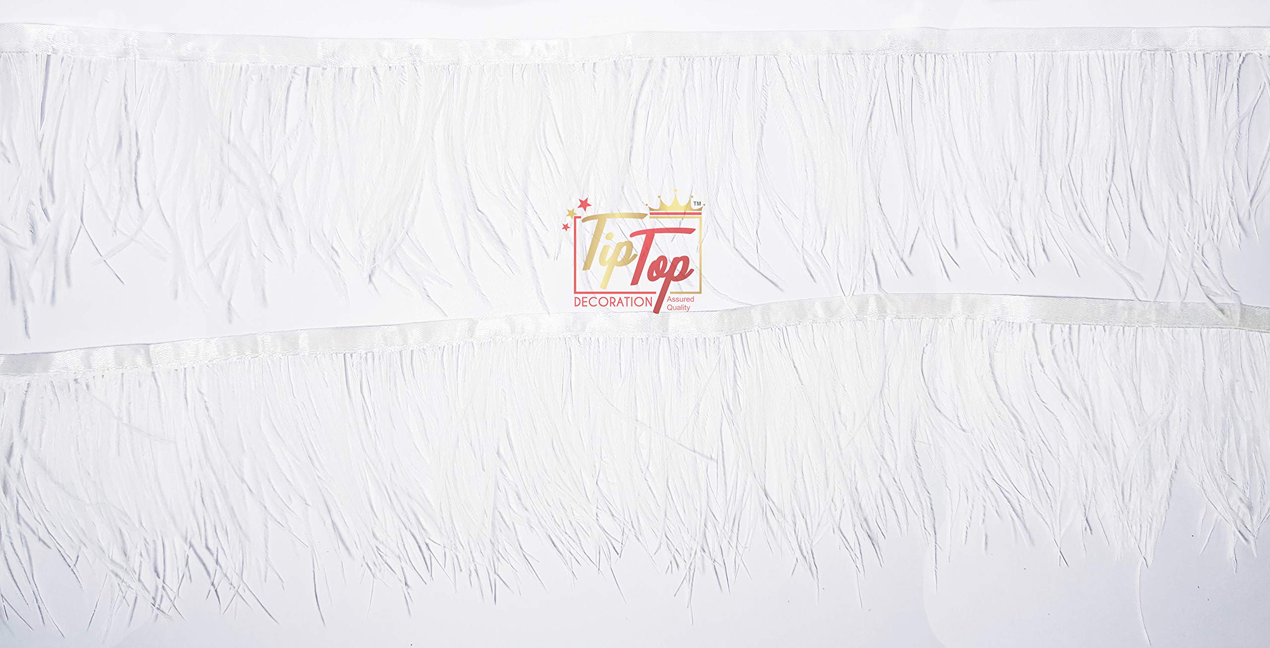 Tiptop Decoration Premium White Ostrich Feathers Lace (10 Yards) (5-6 Inch) 4