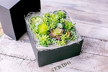 Amazon｜多肉植物 造花 寄せ植え ギフト 多肉フェイクグリーン
