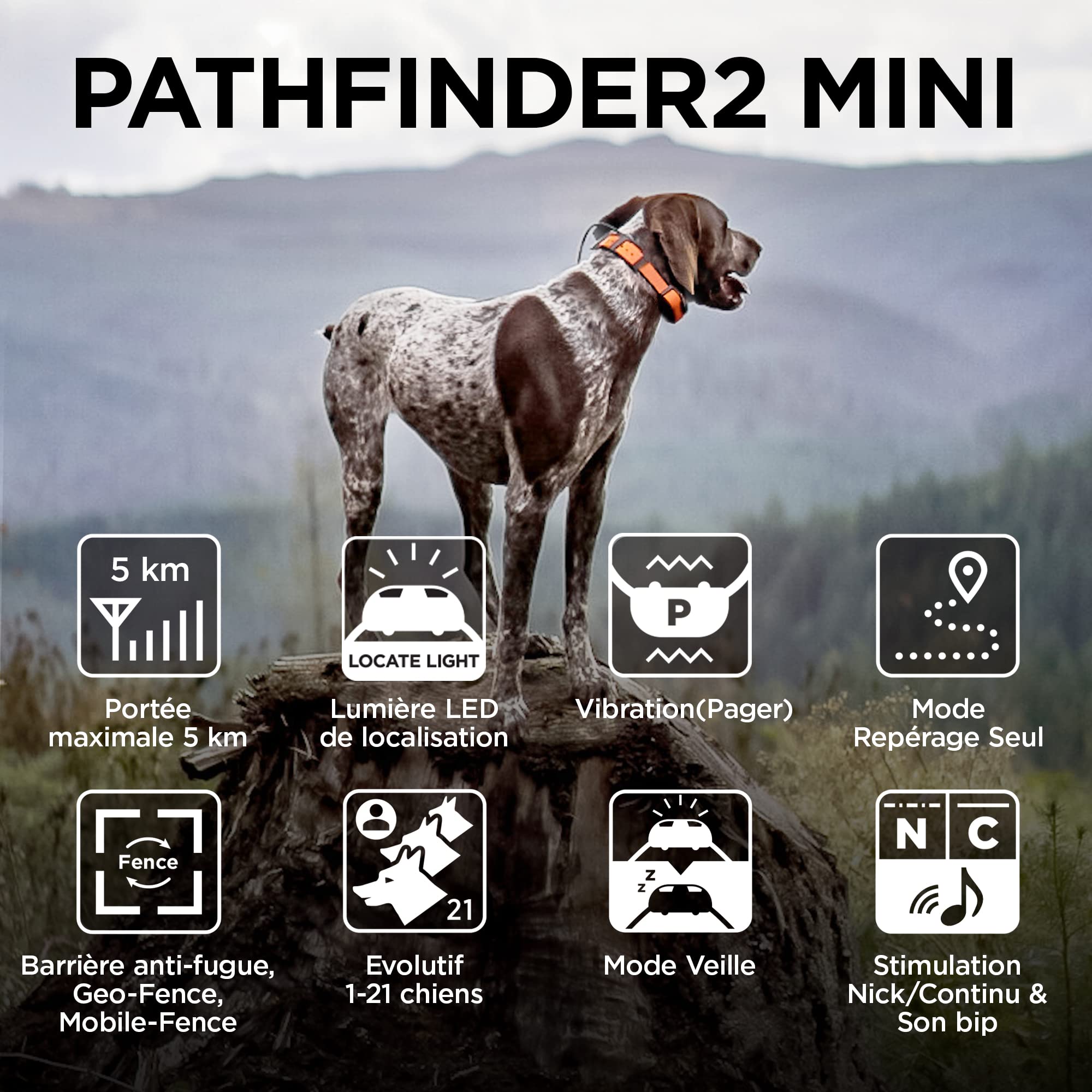 Dogtra Pathfinder 2 Mini Collier de Repérage GPS & Dressage Rechargeable, Lumière LED, Application Gratuite et sans Abonnement, Étanche IPX9K, Fonctions de Dressage, Portée 5 km, Jusqu'à 21 Chien