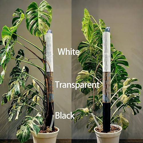 Miniatura 6 de Paquete de 4 postes de musgo de plástico de 17 pulgadas para plantas trepadoras Monstera, soporte de poste de musgo para plantas de interior,