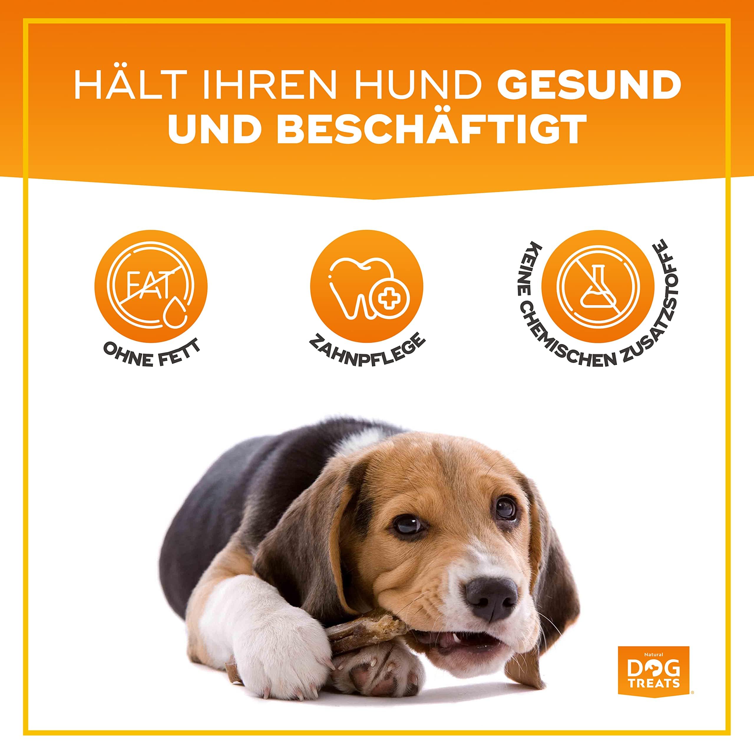 Schapenvet voor honden: werking, voor- en nadelen en soorten
