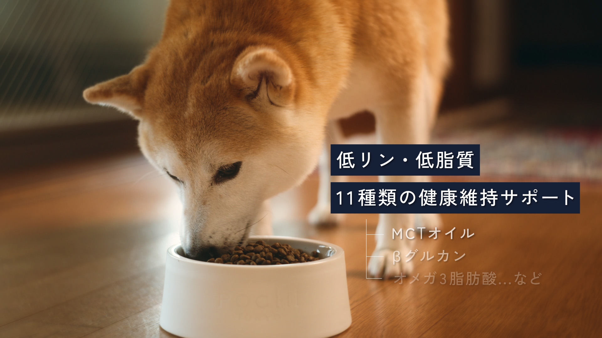 Amazon.co.jp: POCHI ザ・ドッグフード エイジングケア シニア ラム