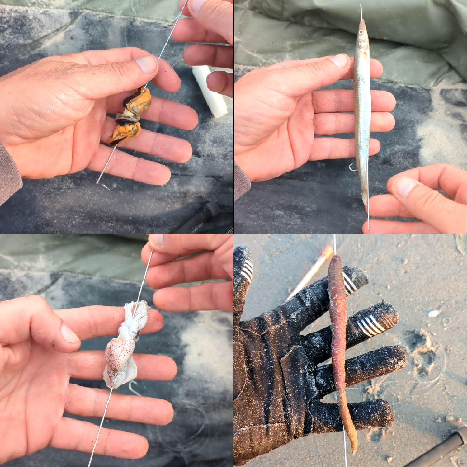 F2M - Pack pêche en surfcasting - Lot de 2 Rouleaux de Fil à ligaturer Les appâts + 1 Boite de 5 Aiguilles à locher Les vers
