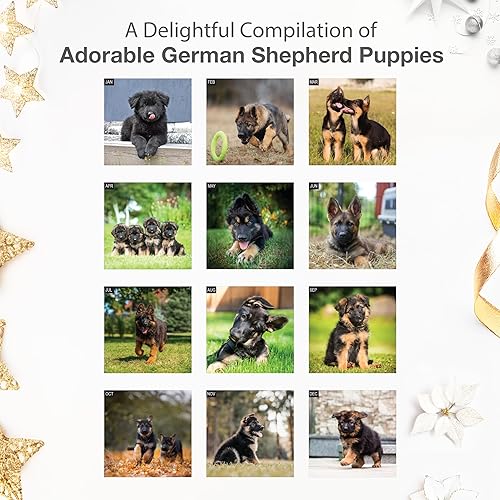 Miniatura 3 de RED EMBER Calendario mensual de pared colgante de cachorros de pastor alemán 2023  12 x 24 pulgadas abierto  Papel grueso y resistente  Regalar