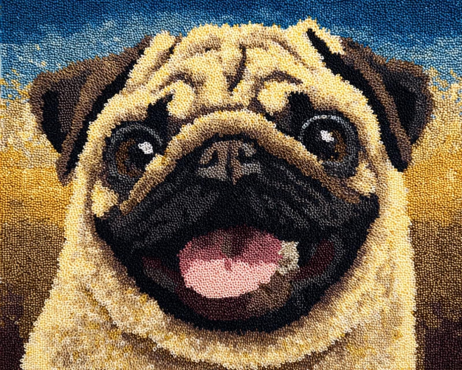 Wallphantom DIY Craft Latch Hook Rug Kits,Happy Pug,Printed Carpet Crochet Yarn Kits,Handcraft Cushion Crocheting Hook Home Decoration for Family Friends,55x75cm