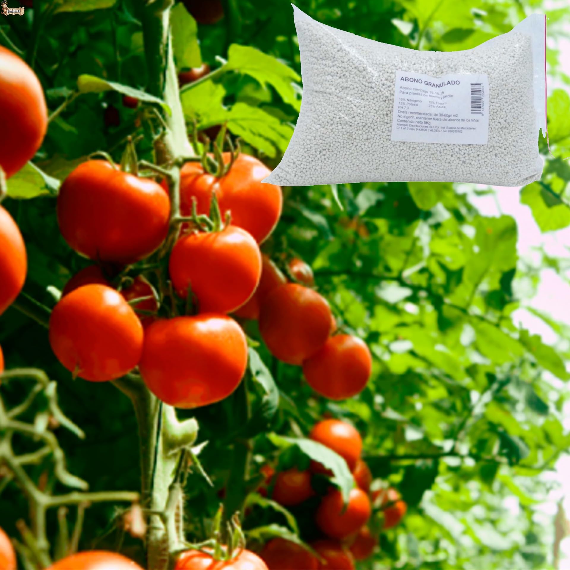 BricoLoco.com Abono complejo NPK 15-15-15. 1 Kg. Fertilizante triple 15 granulado. Para plantas de huerto y jardín, árboles, etc. 15% nitrógeno 15% fósforo 15% potasio (1, Kilogramos)
