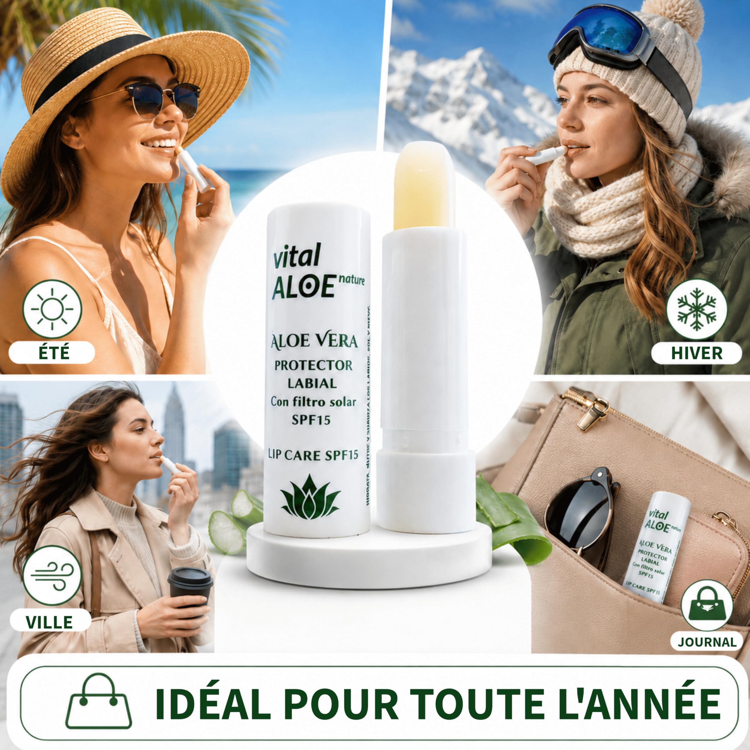Baume à Lèvres Aloe Vera SPF 15 | 5 unités | Stick Lèvres Hydratant avec Filtre Solaire | Soin Quotidien pour Lèvres Sèches | Texture Douce Non Collante | Idéal Été et Hiver