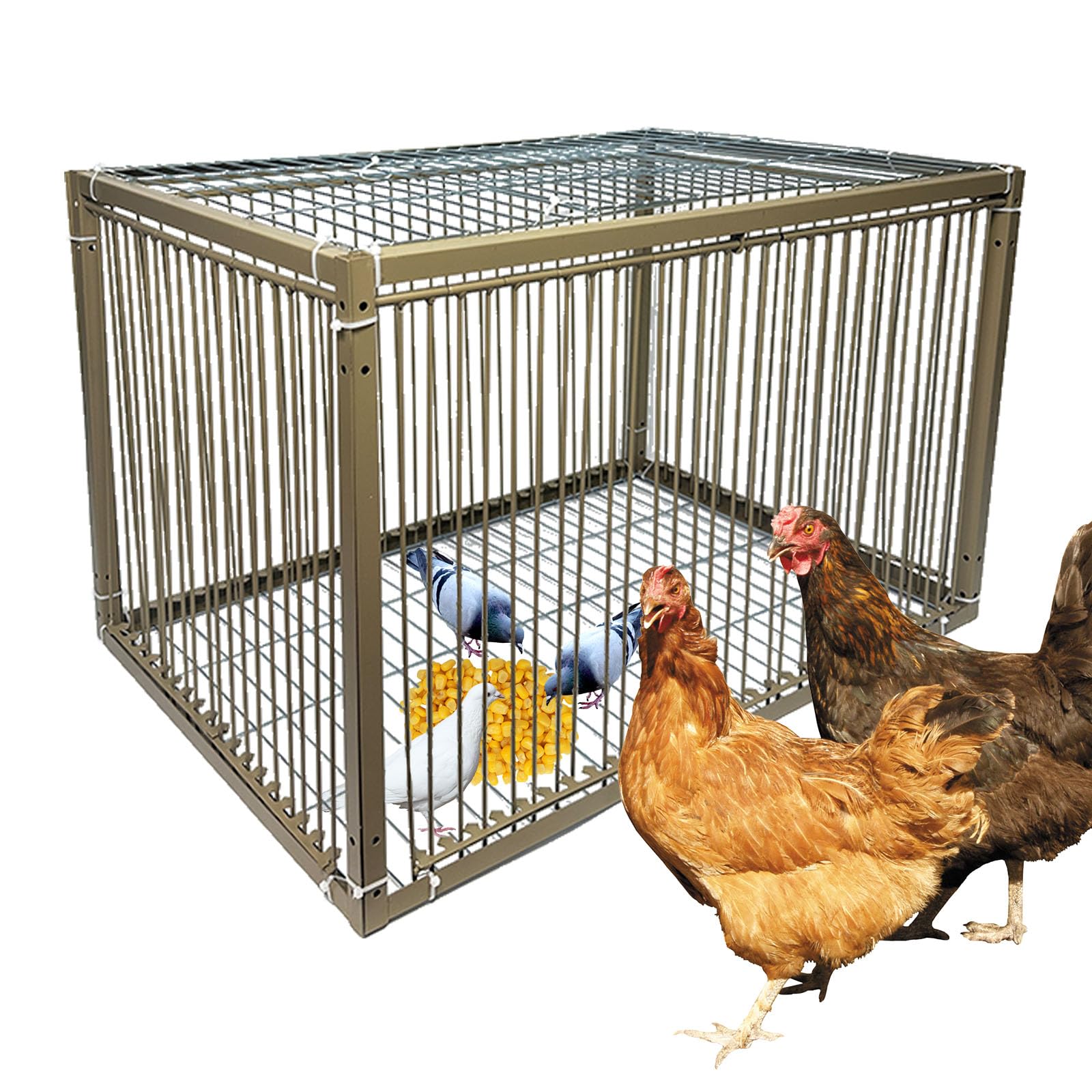 Jaula de trampa para pollos y palomas de 15 pulgadas de alto, jaula de trampa para animales pequeños con diseño a prueba de escape para pájaros, pavos, palomas (23.6 pulgadas de largo x 15.7 pulgadas