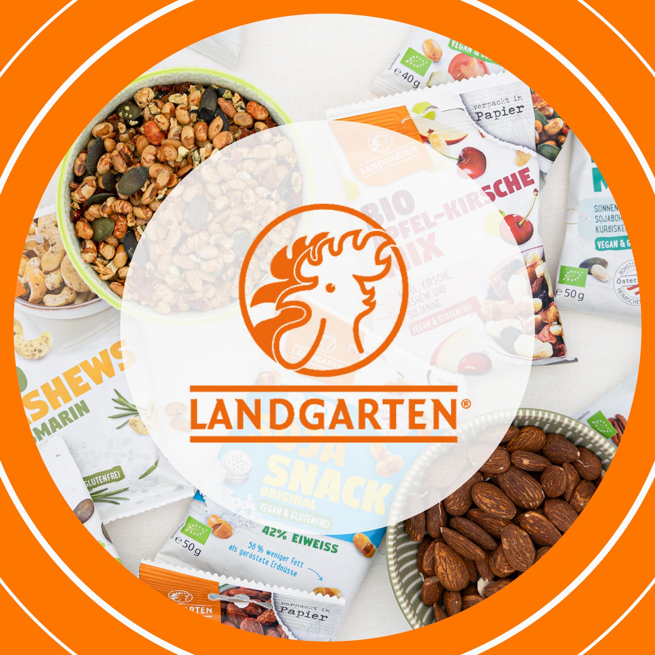 Landgarten Bio Ingwer in Zartbitter-Schokolade – 10x 70g | 100% Fairtrade – kandierte Ingwerstücke umhüllt von feinherber Zartbitterschokolade 62% Kakao – scharf-aromatischer Premium-Snack